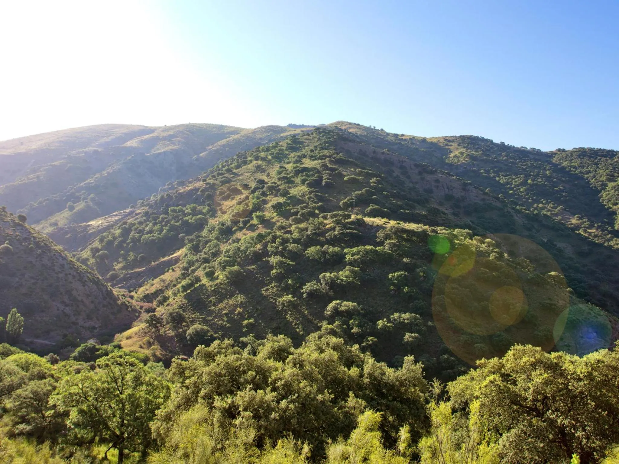 Day in Hotel Rural Molino del Puente Ronda