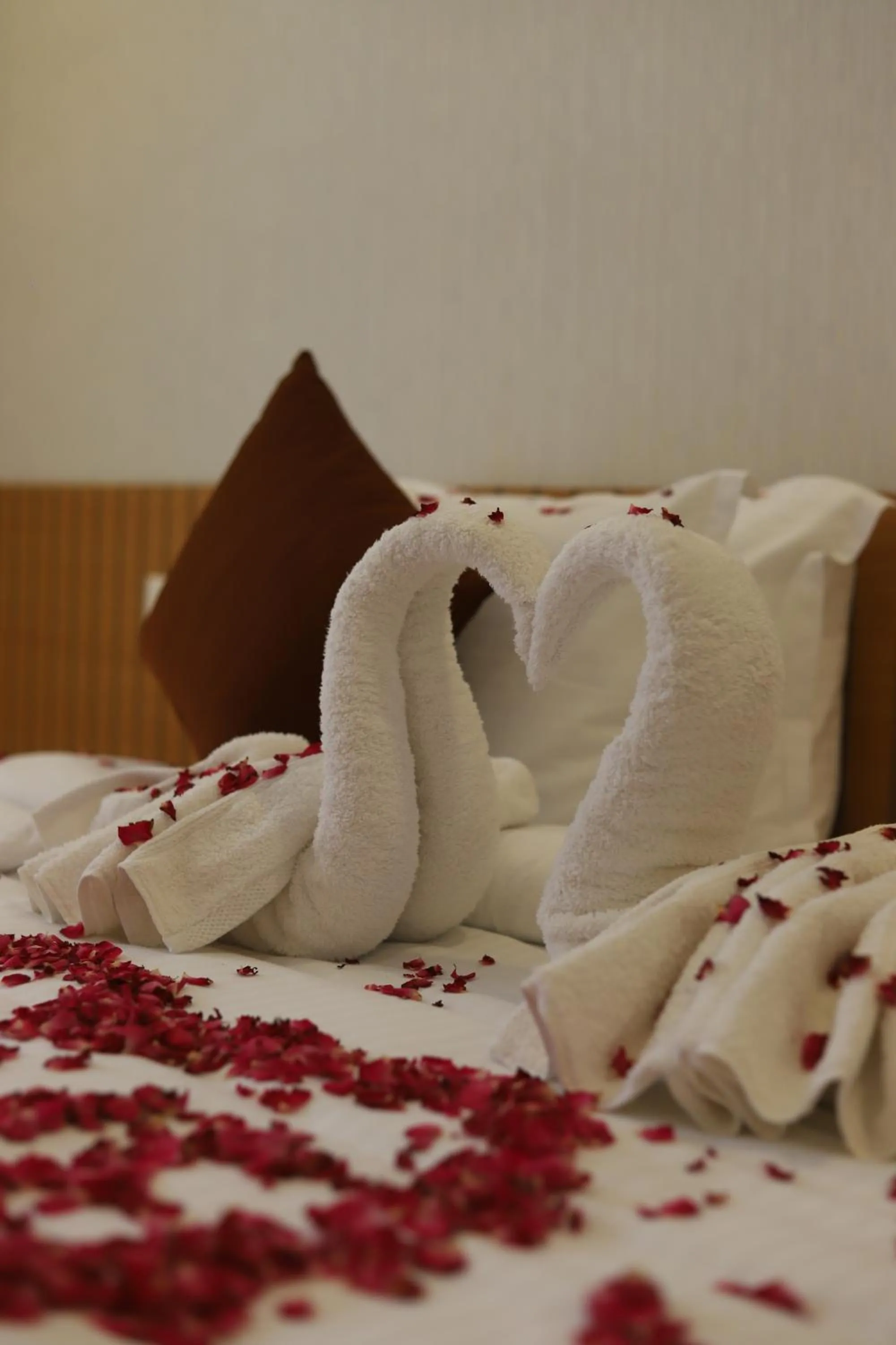 Bed in Seeheim Resorts