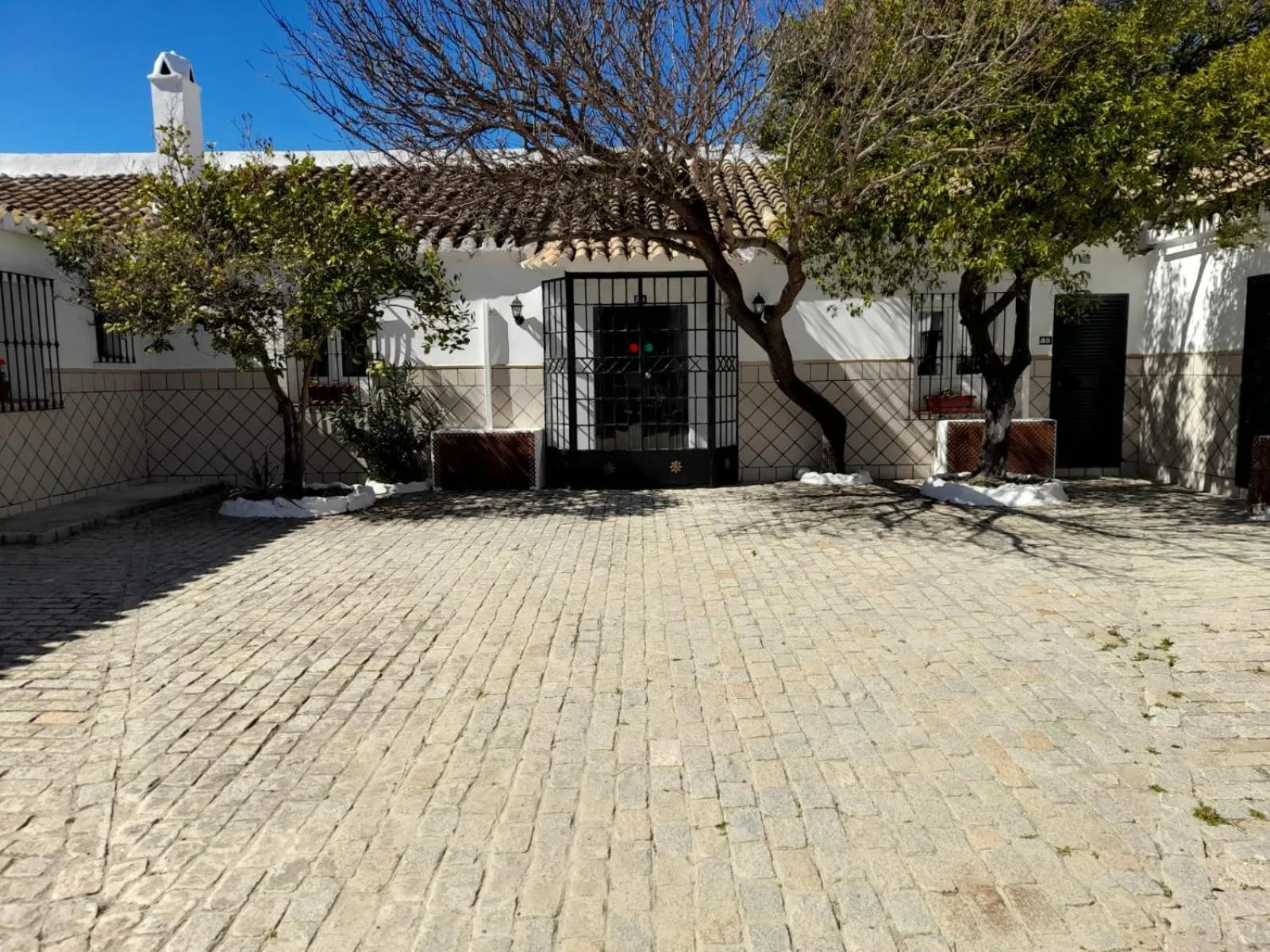 Garden in Hacienda Marcharavi