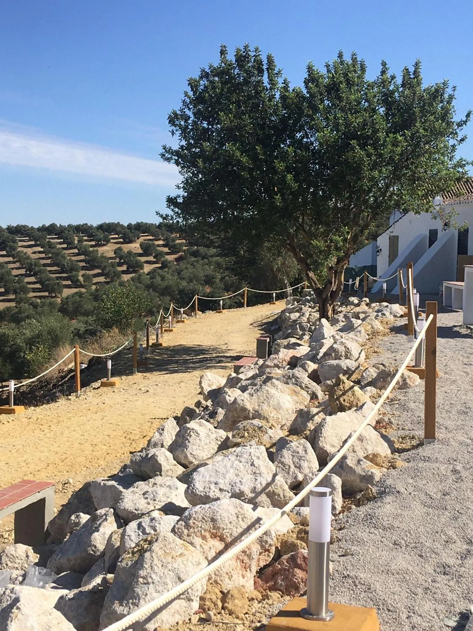 Garden in Hacienda Marcharavi