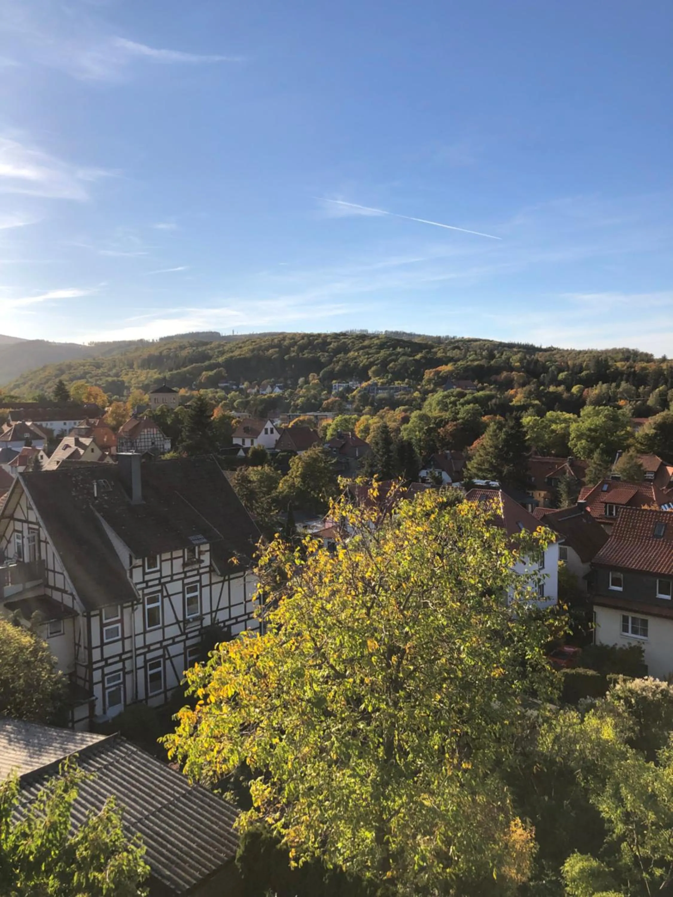 Natural landscape in Haus Brockenblick
