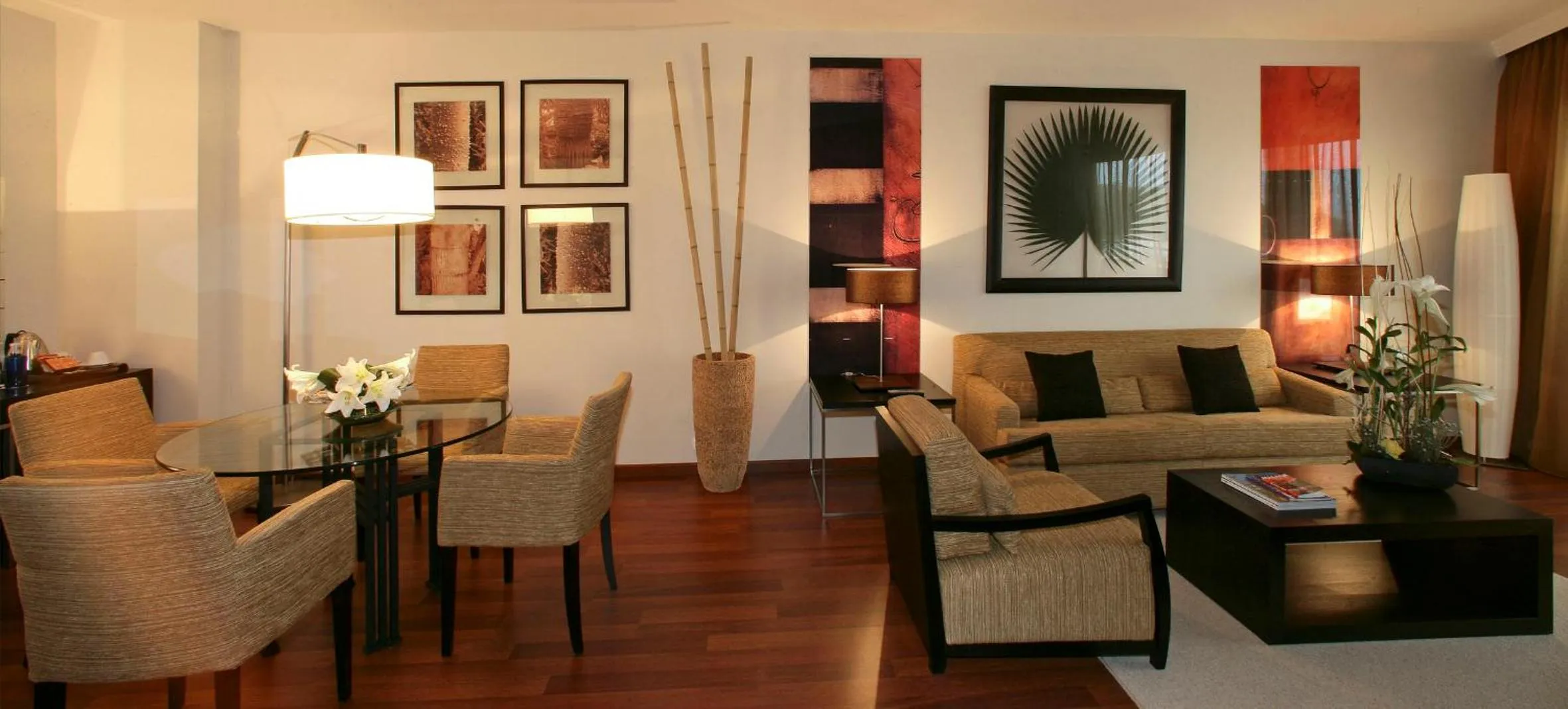 TV and multimedia in Senator Banus