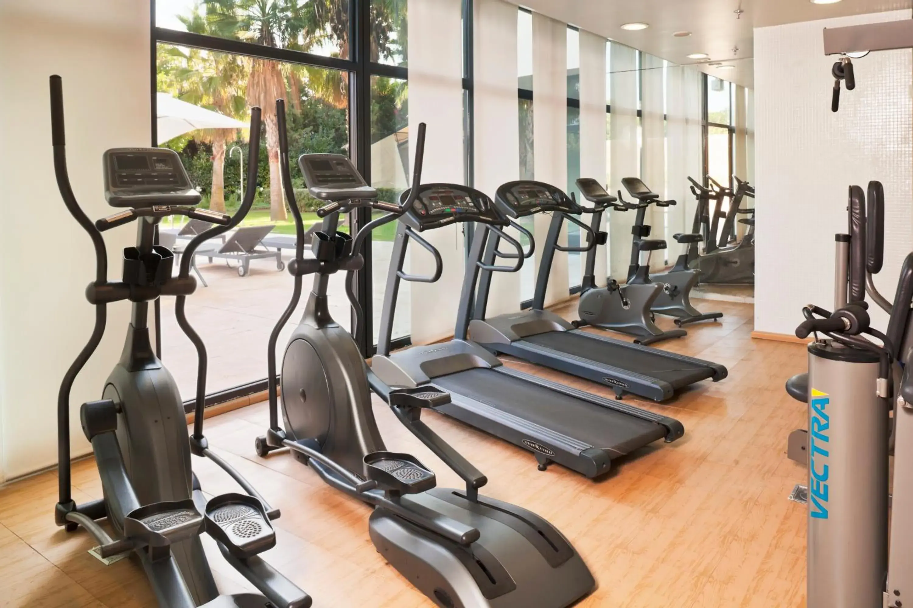 Fitness centre/facilities in Senator Banus Fitness centre/facilities in Senator Banus
