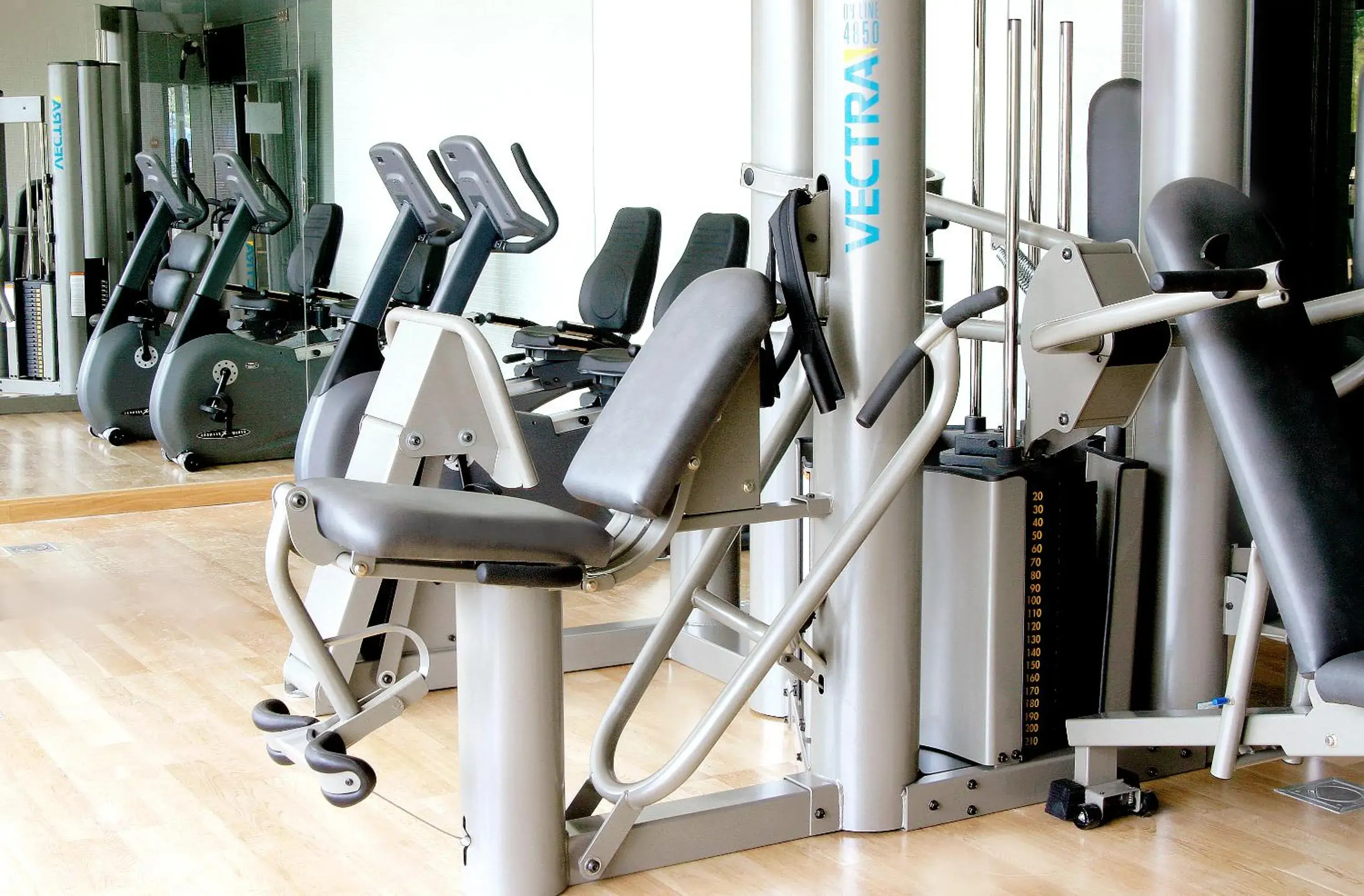 Fitness centre/facilities in Senator Banus Fitness centre/facilities in Senator Banus