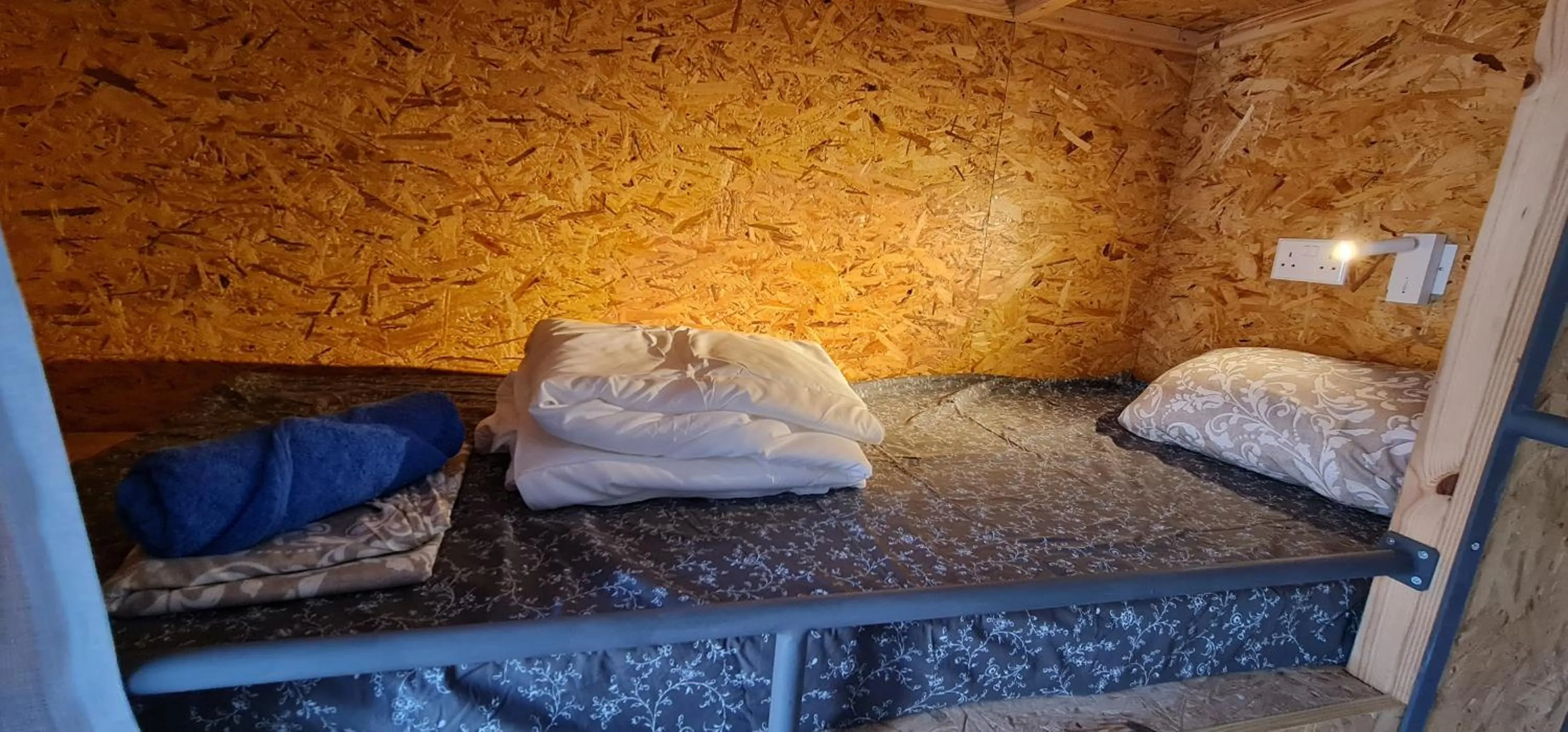 Female Dormitory Room in Bee Hostel Paphos