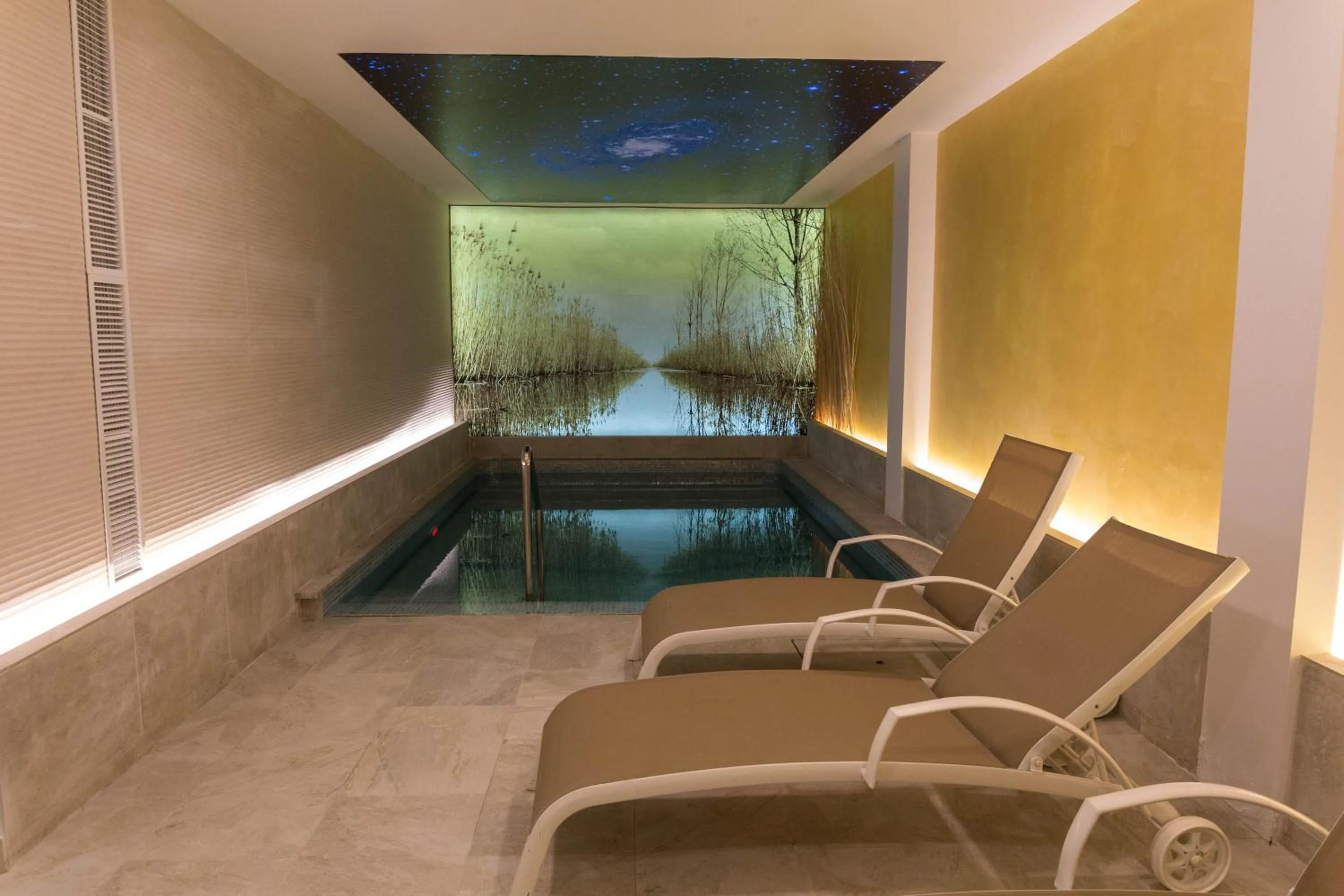Spa and wellness centre/facilities in Caprice Concord Hotel & Spa