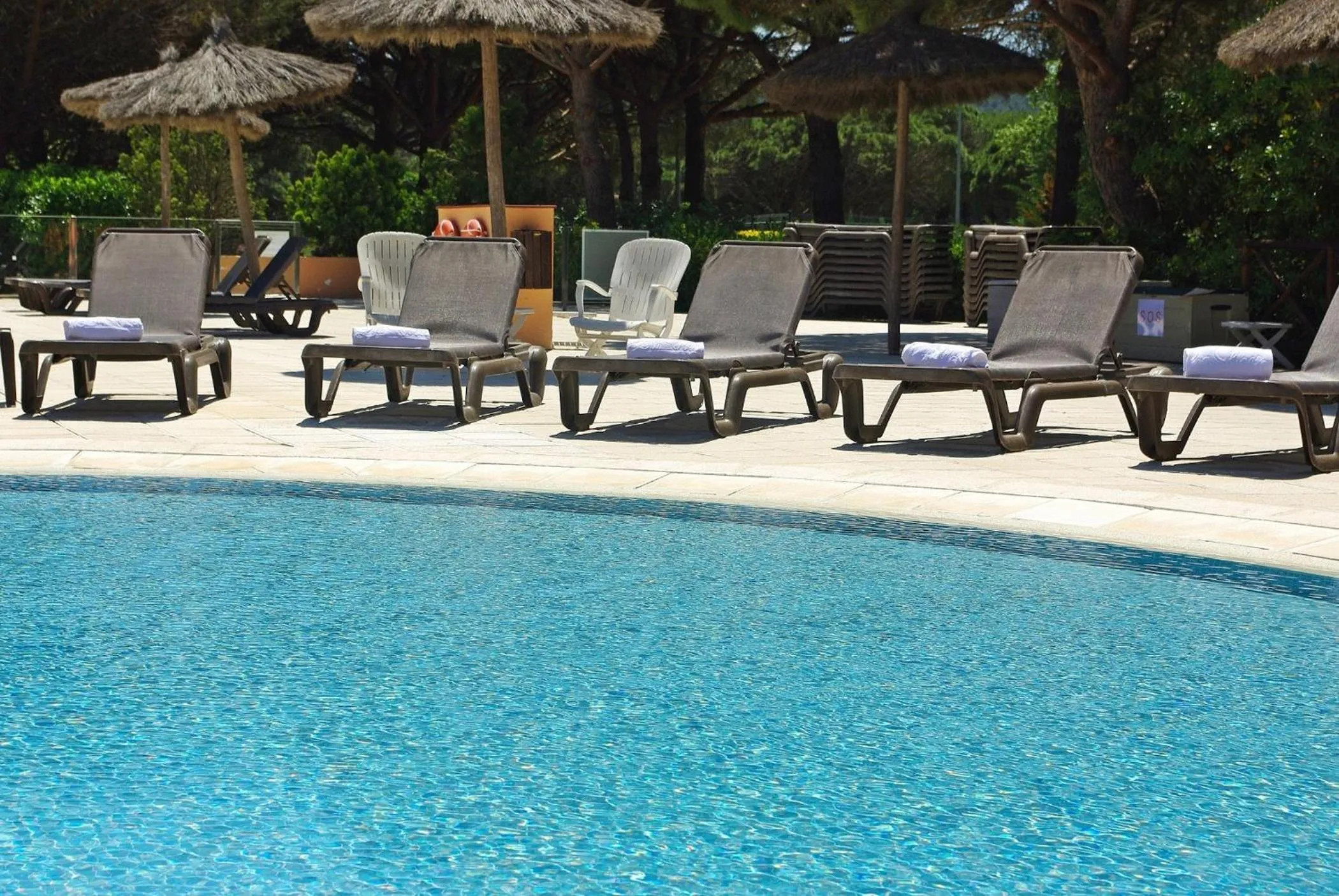 Pool view in La Costa Hotel Golf & Beach Resort