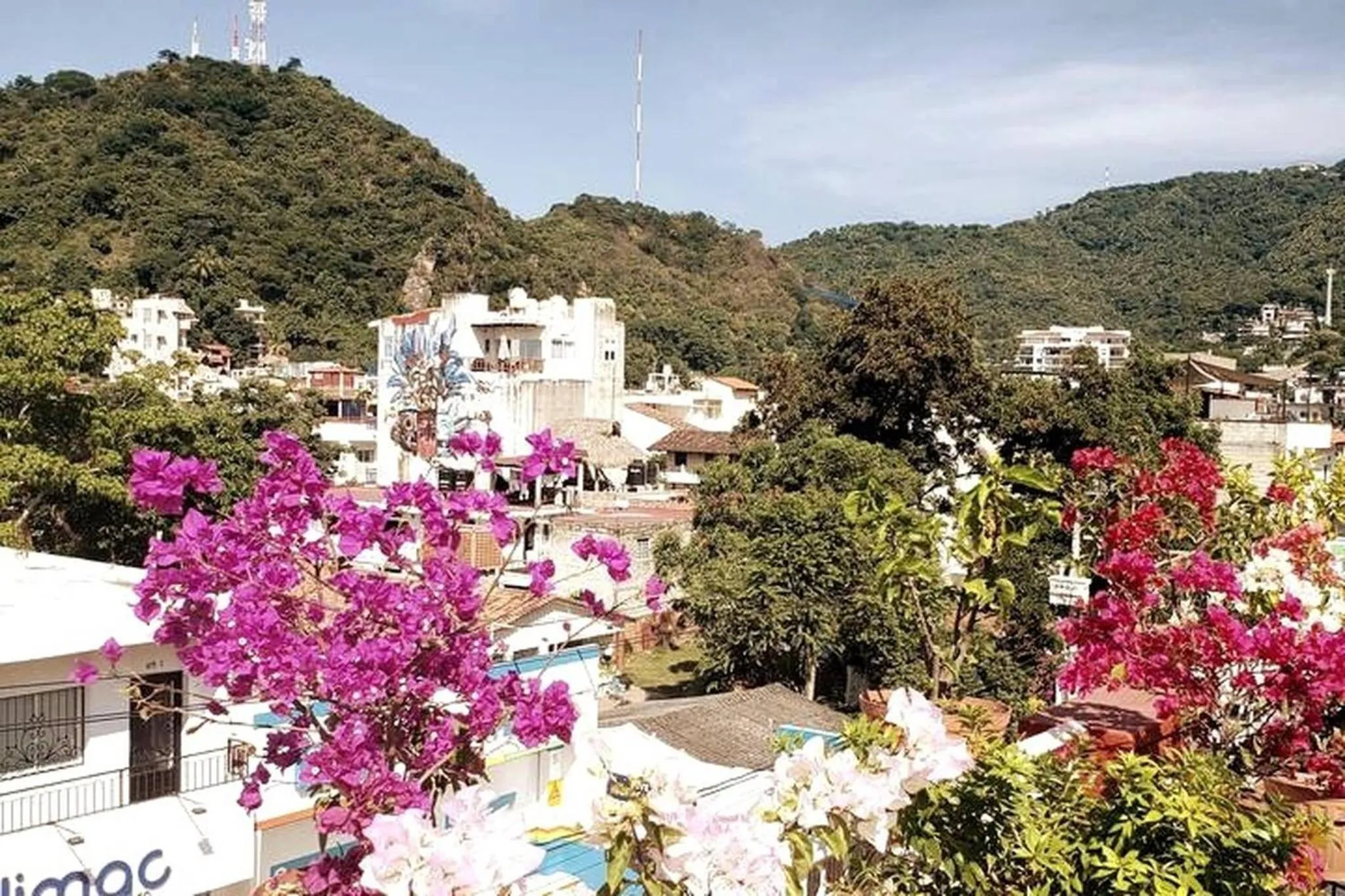 Other in Vive La Zona Romntica En Puerto Vallarta