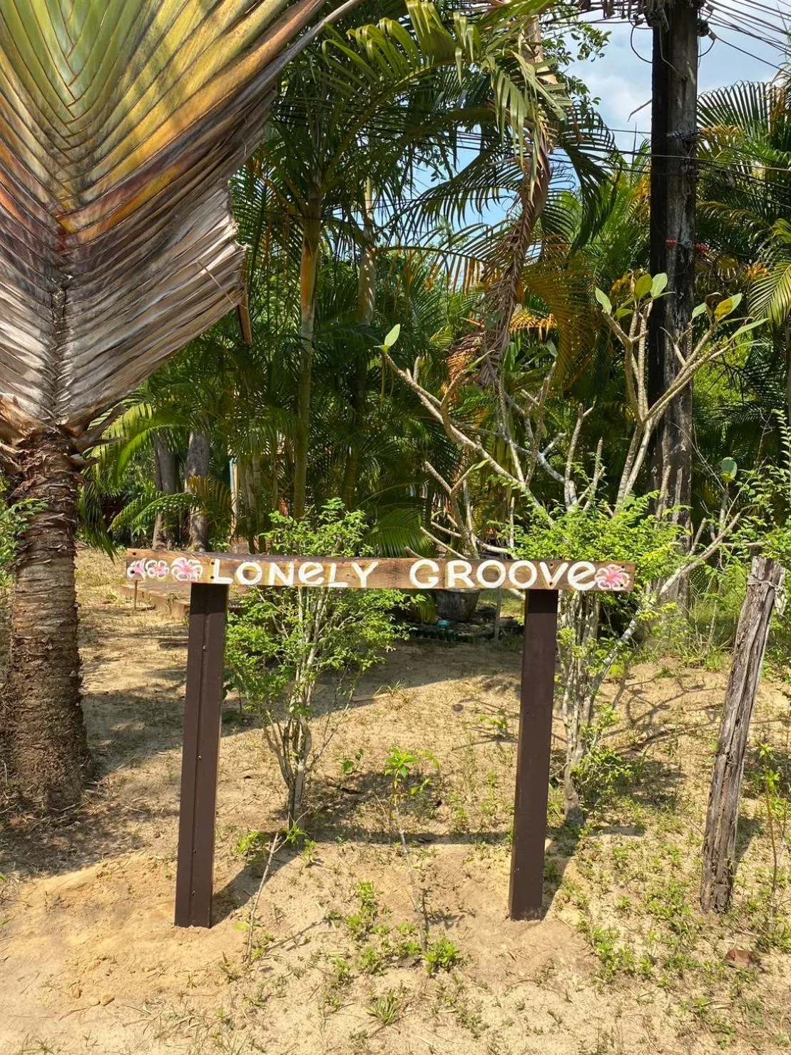 Garden in LONELY GROOVE