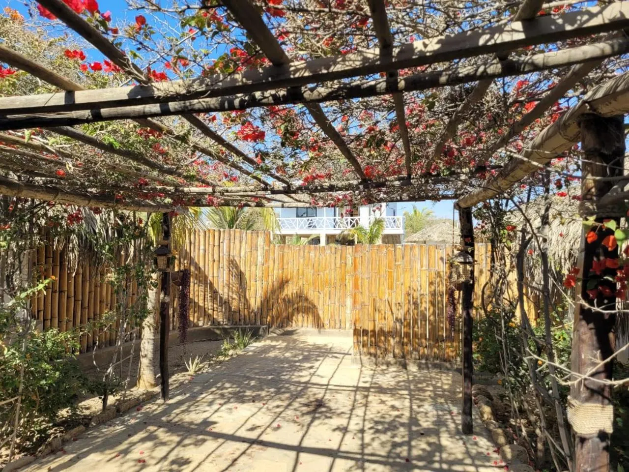 Facade/entrance in Oasis de Vichayito