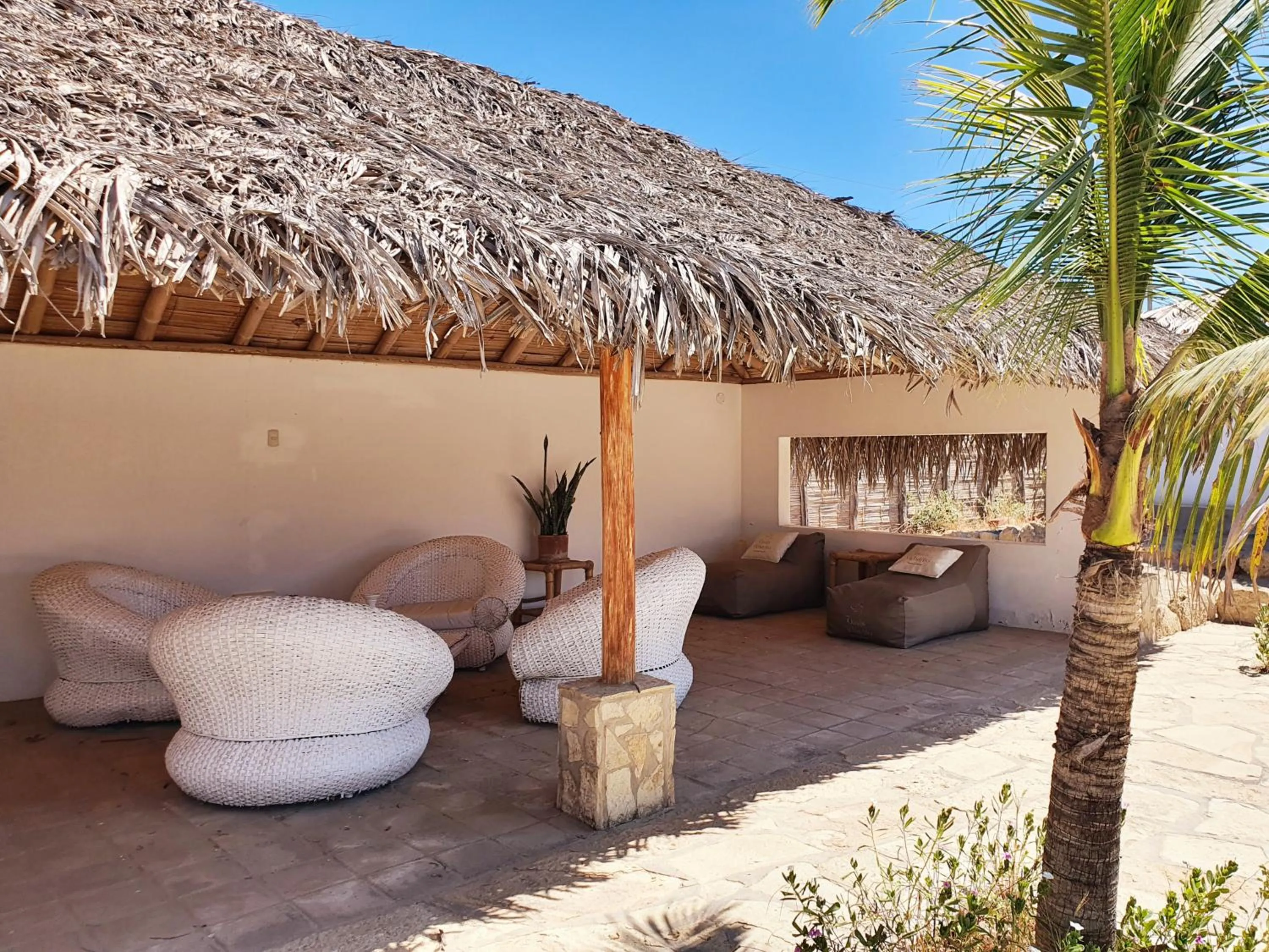 Day in Oasis de Vichayito