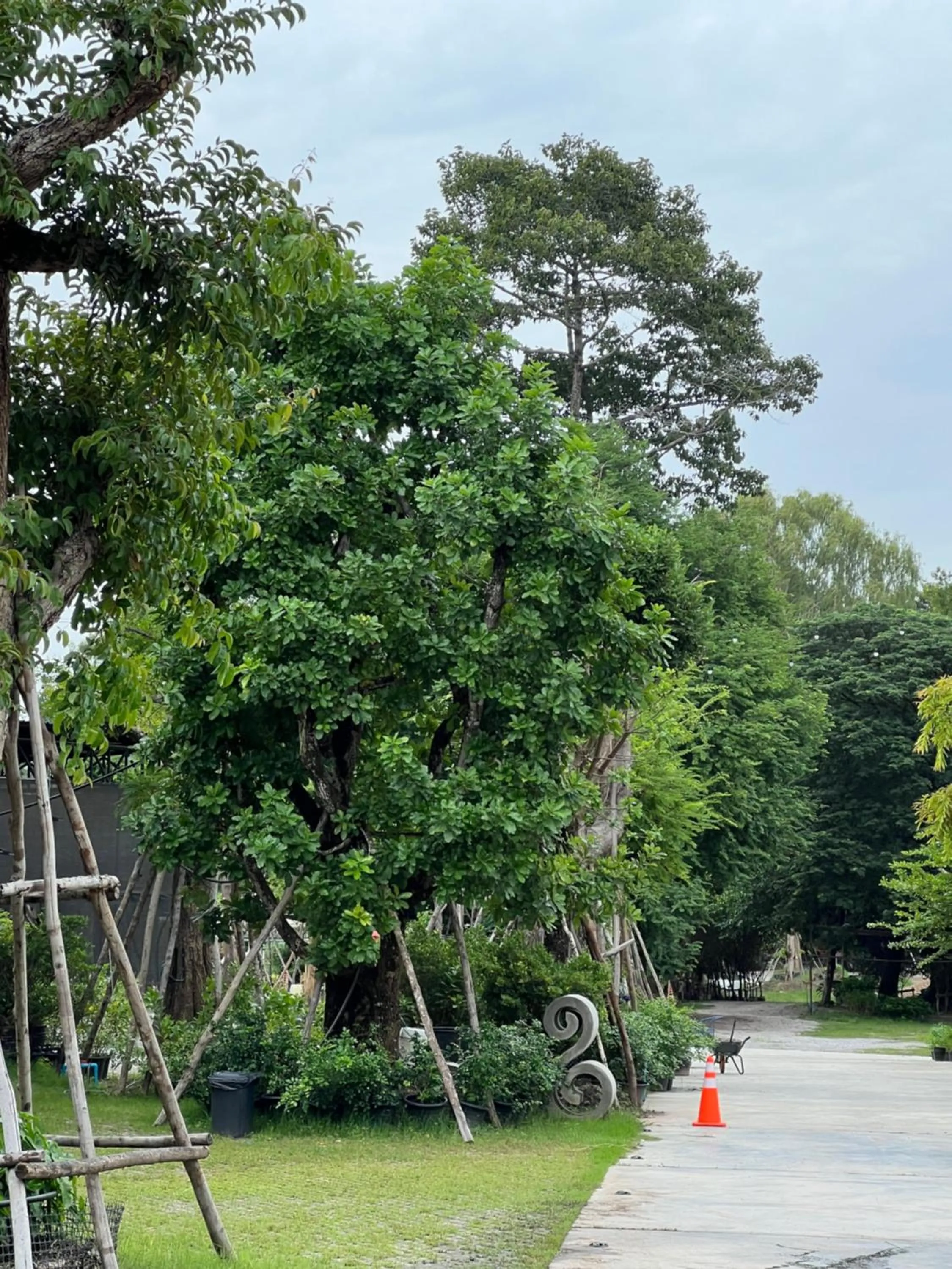 Macchiato Resort Savannakhet Opposite Thai Embassy