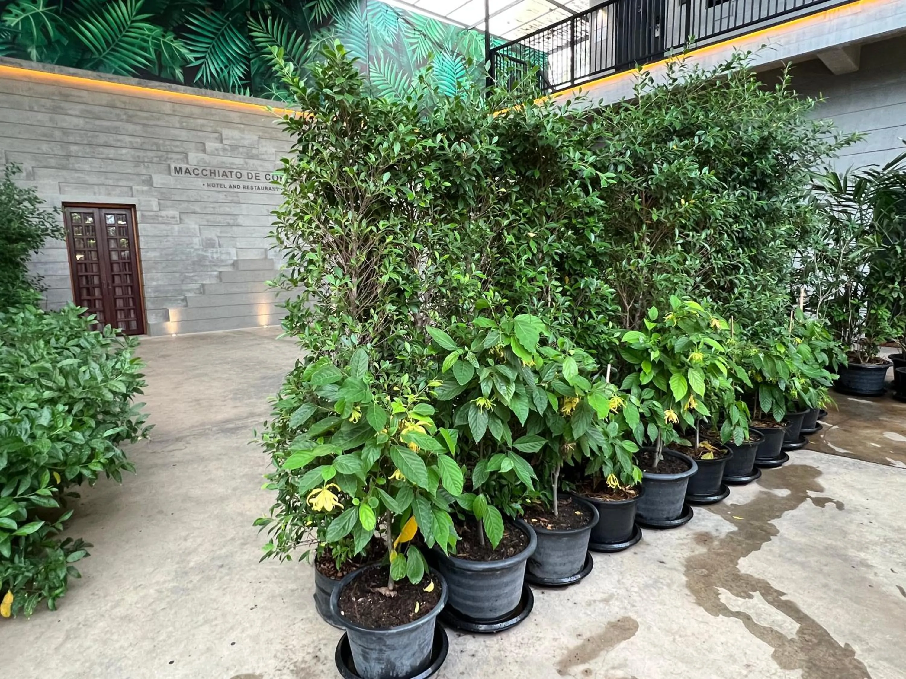 Macchiato Resort Savannakhet Opposite Thai Embassy