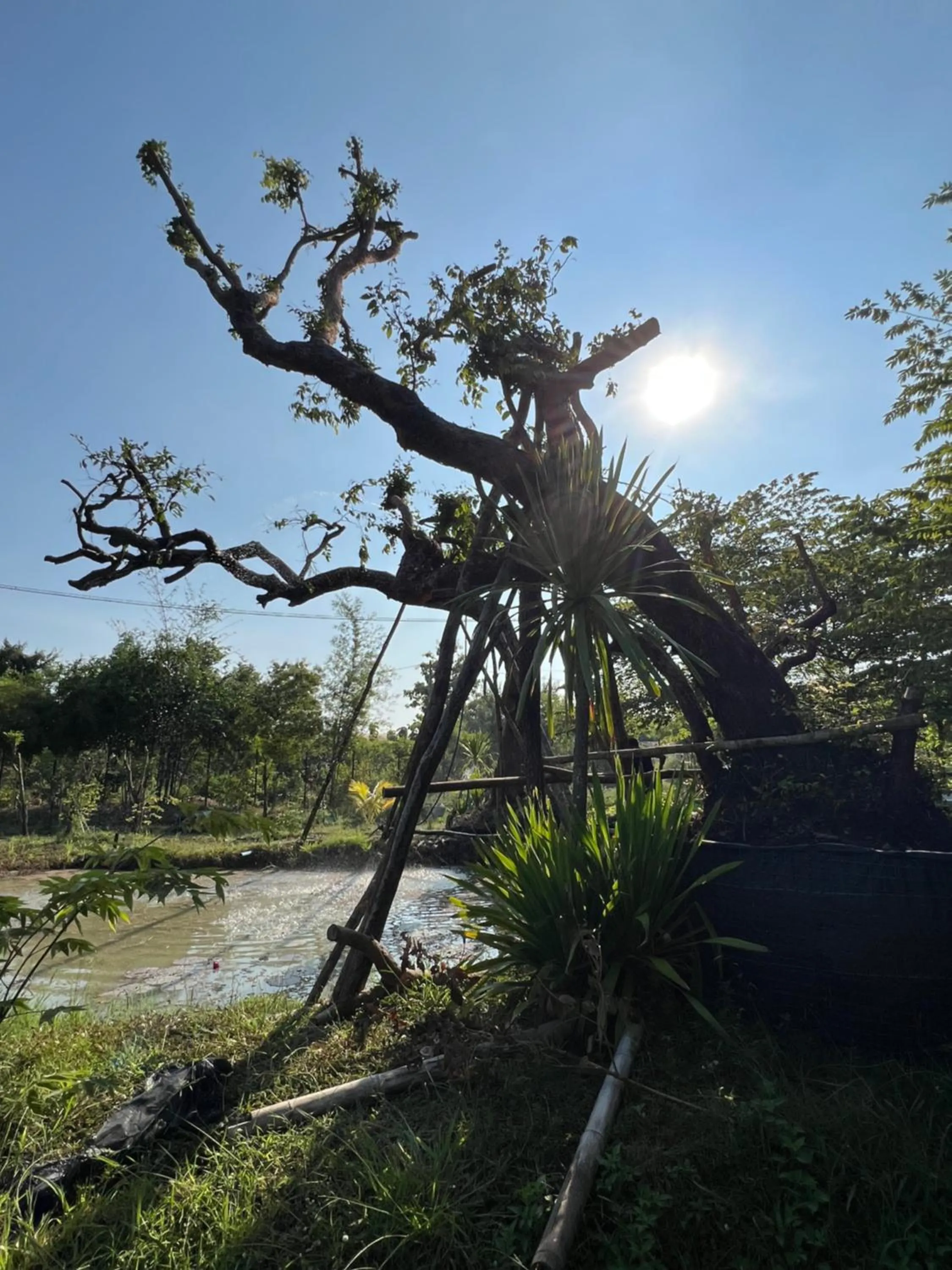 Macchiato Resort Savannakhet Opposite Thai Embassy