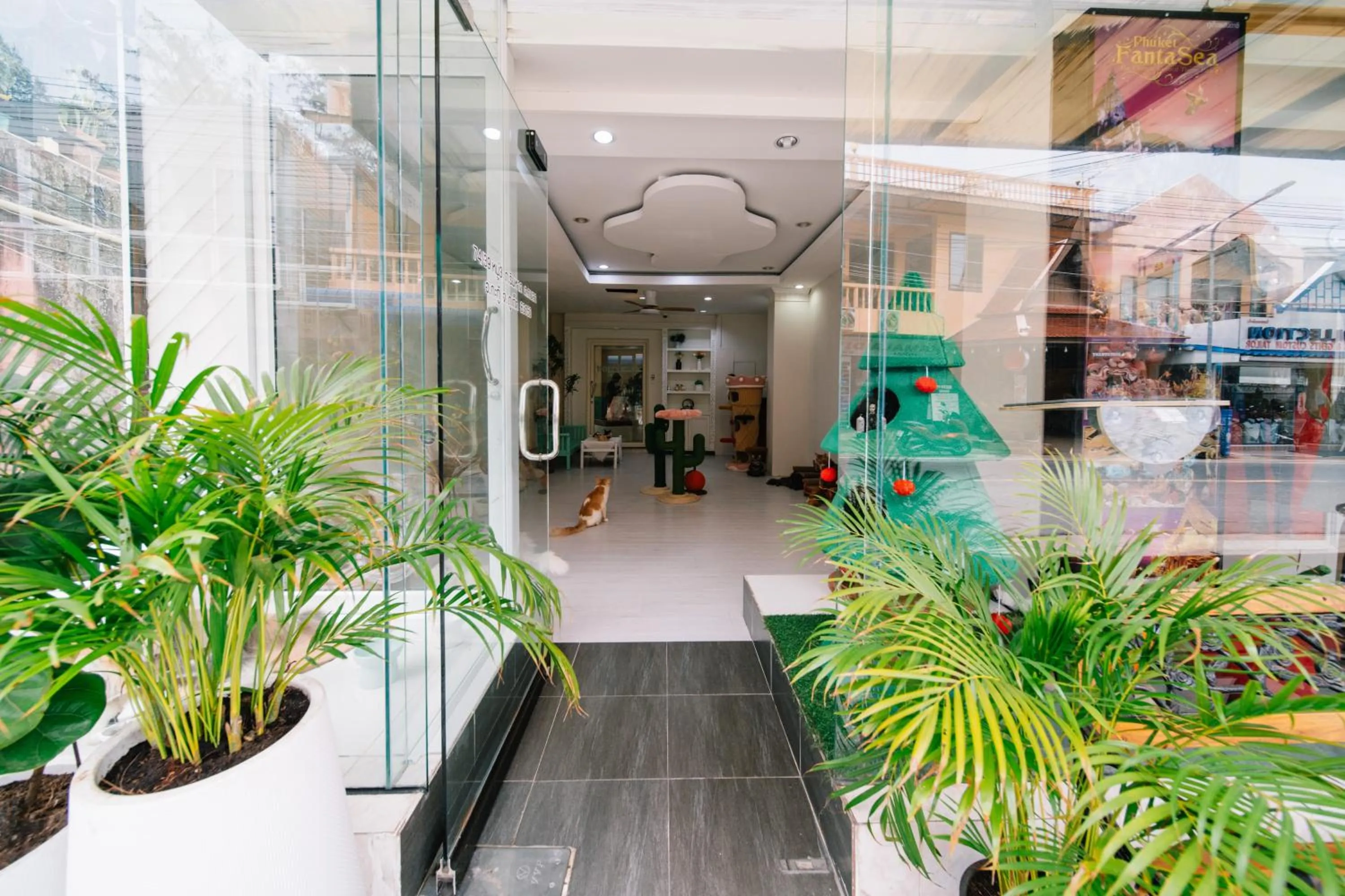 Day in Catnip Seaside Hotel&Cafe