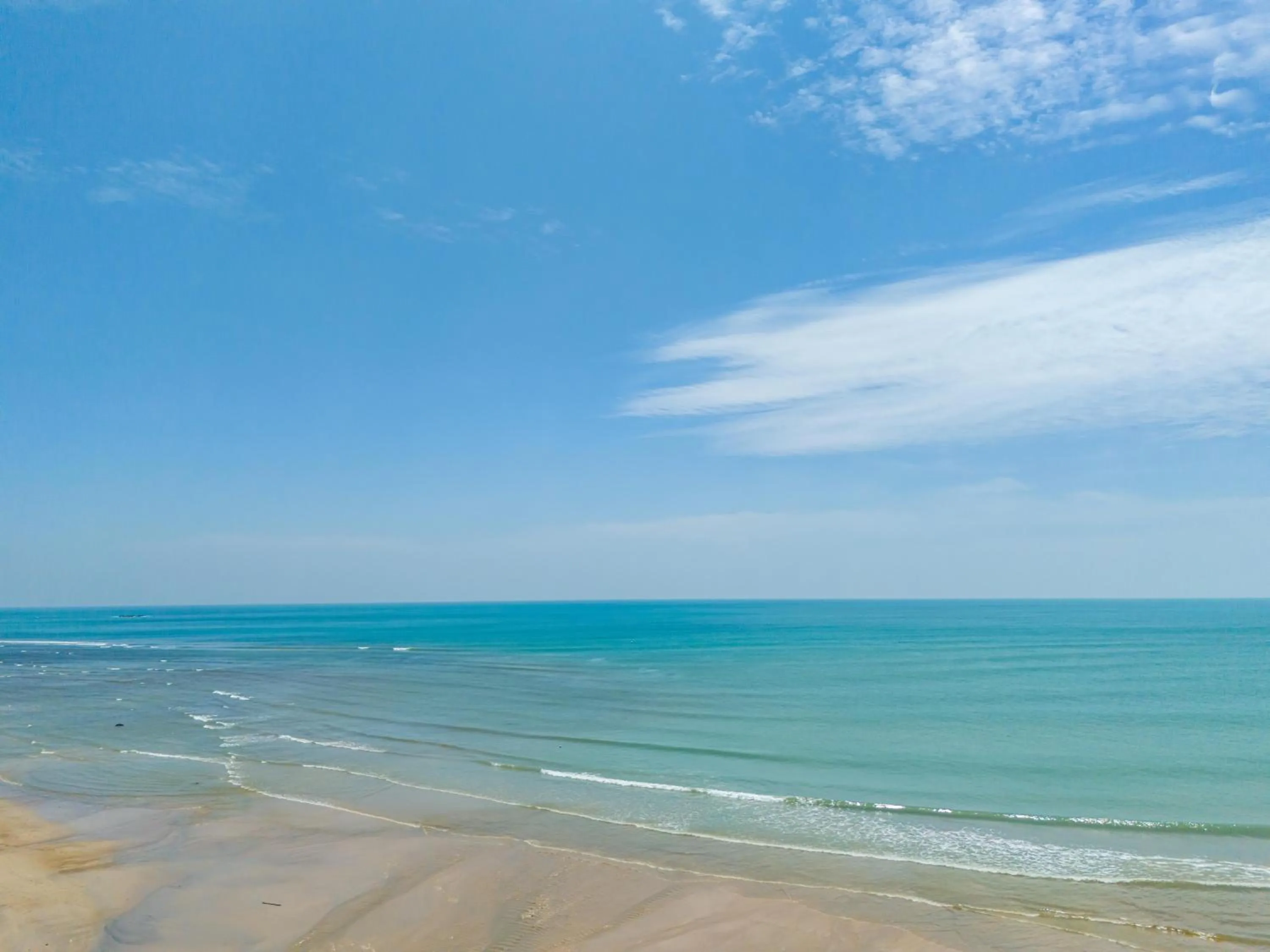 Catnip Seaside Hotel&Cafe