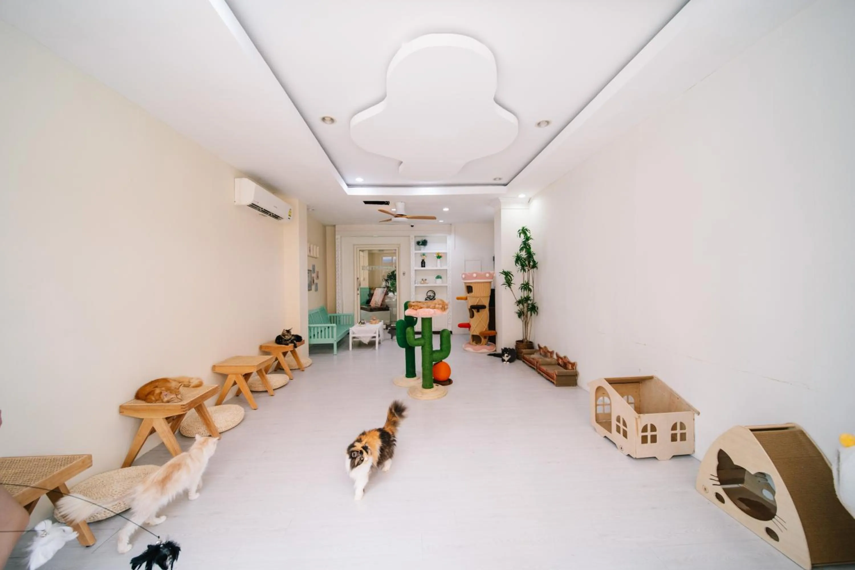 Living room in Catnip Seaside Hotel&Cafe