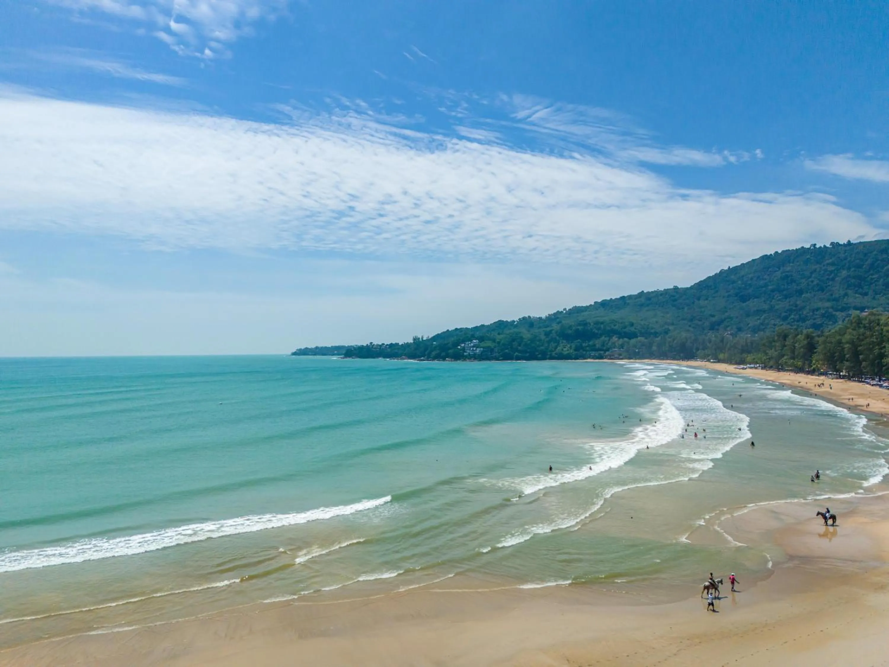 Catnip Seaside Hotel&Cafe