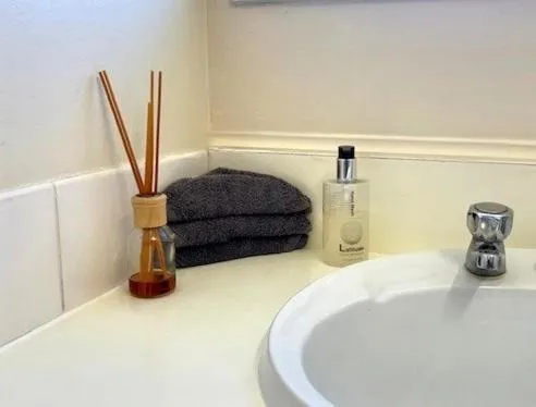 Bathroom in Parkside Motel and Apartments