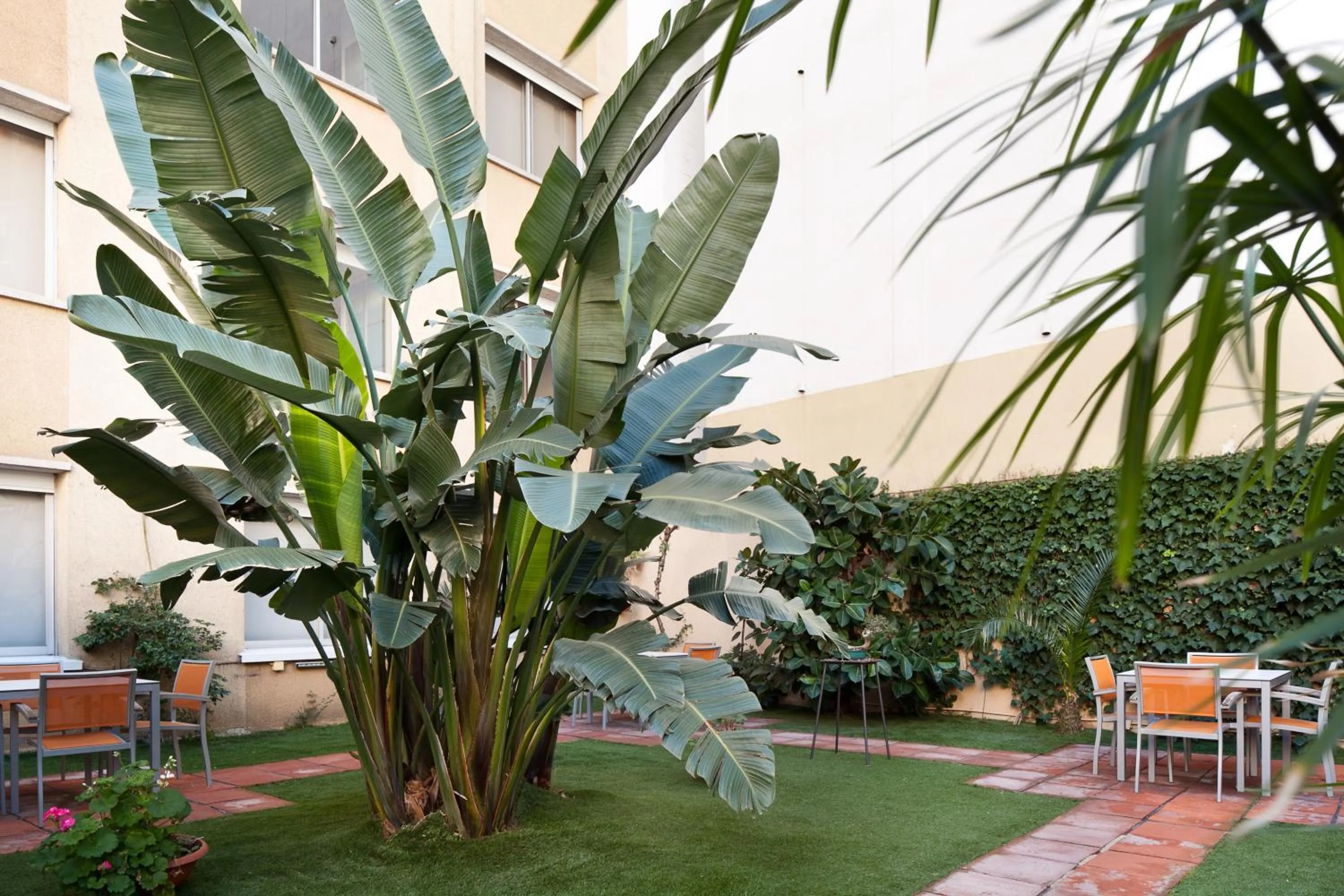 Garden in Aparthotel Silver