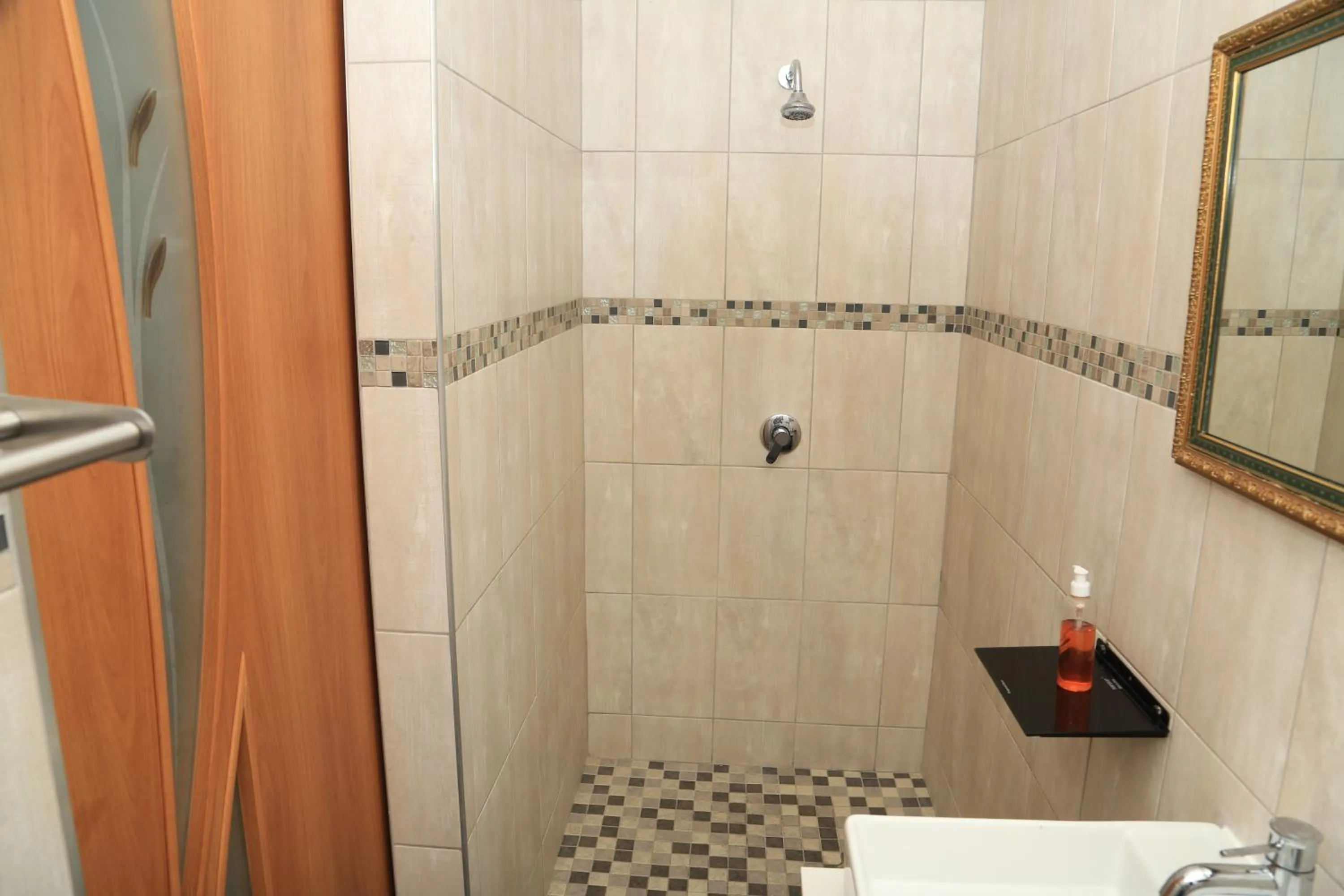 Shower in Coco Palm Bed & Breakfast