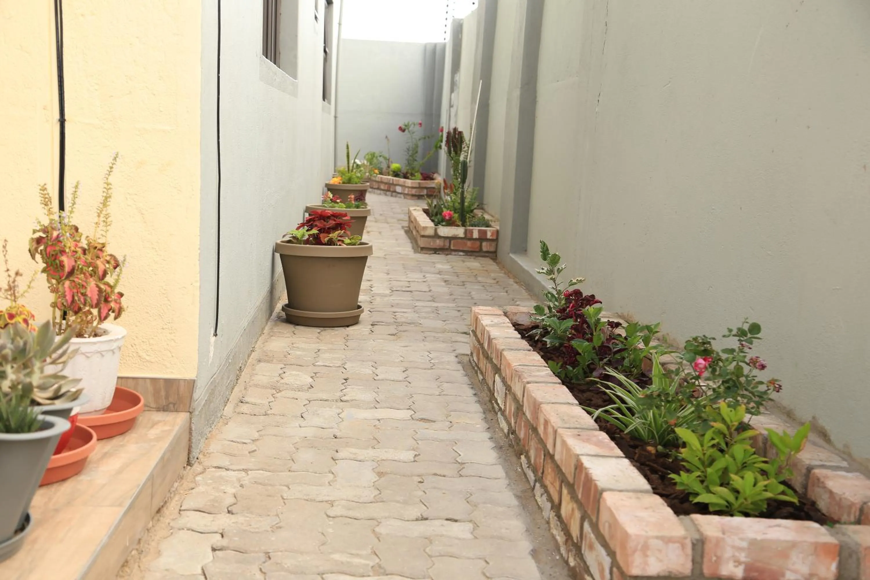 Garden view in Coco Palm Bed & Breakfast