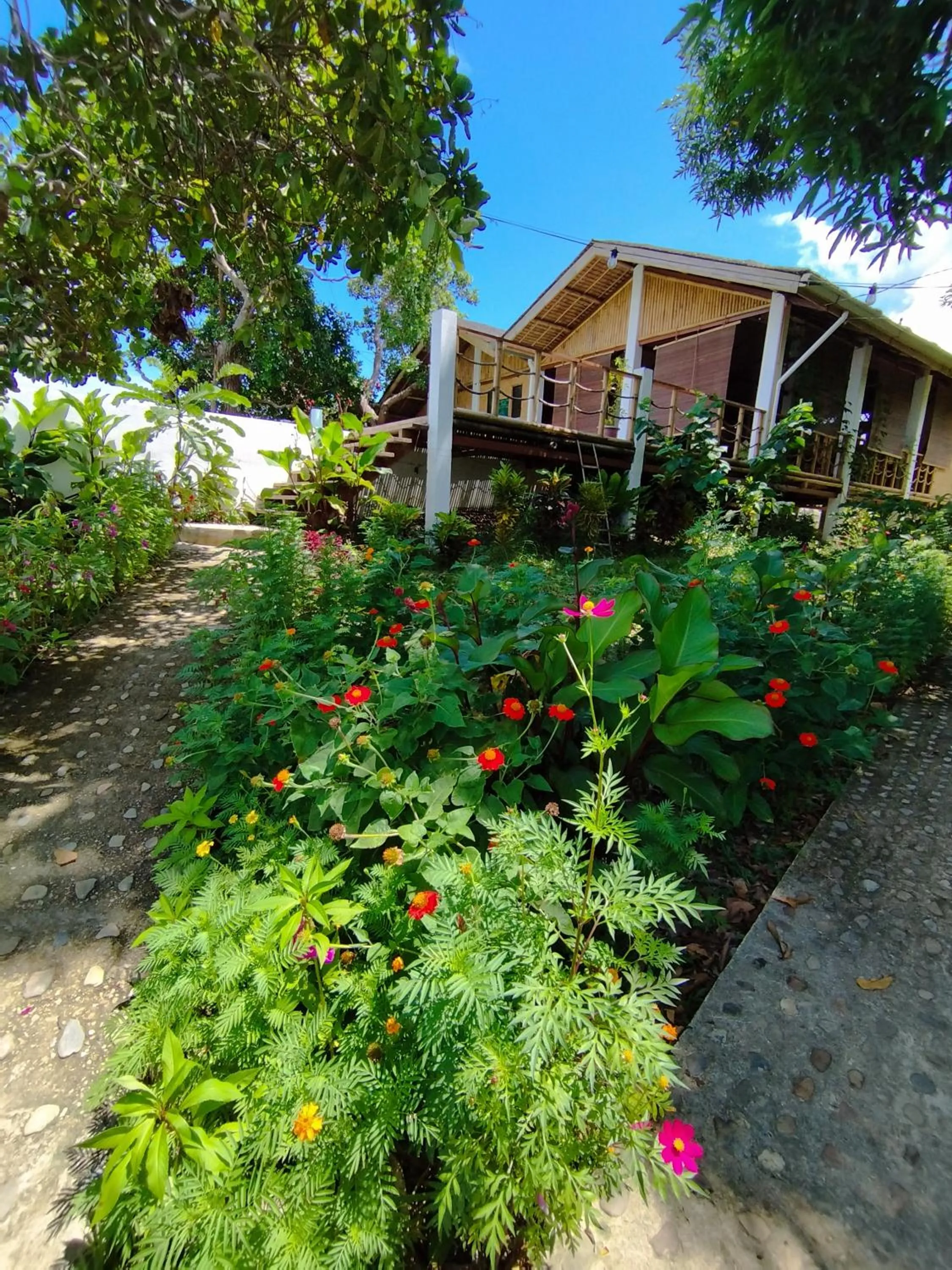Restaurant/places to eat in Ocean Green Eco Lodge
