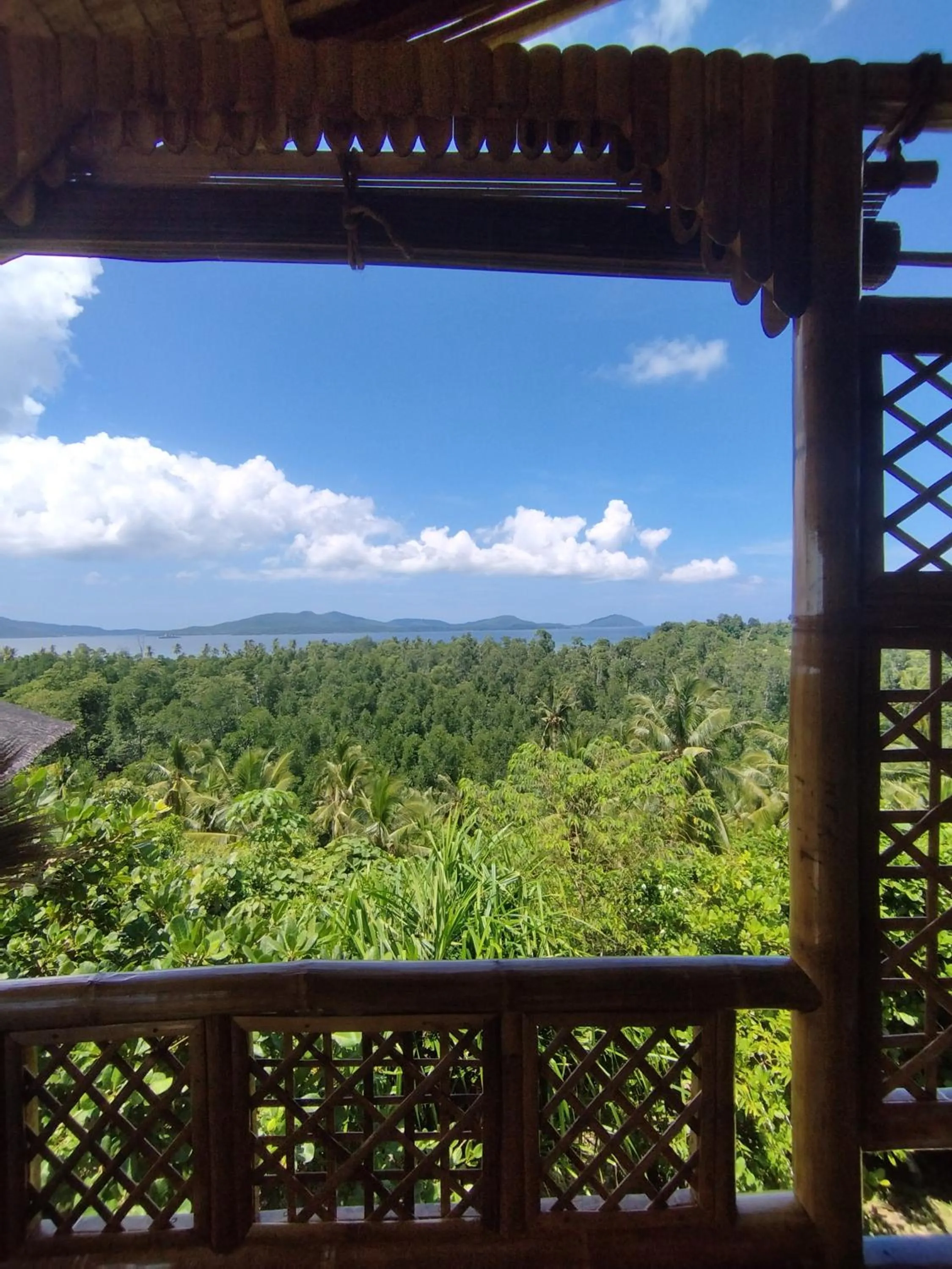 View (from property/room) in Ocean Green Eco Lodge