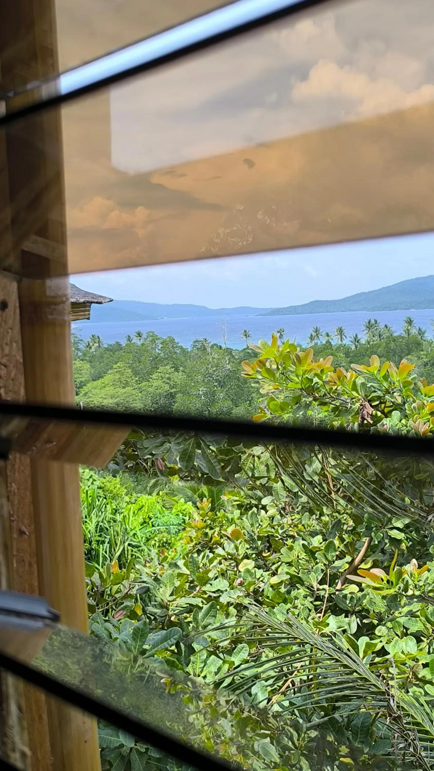 View (from property/room) in Ocean Green Eco Lodge