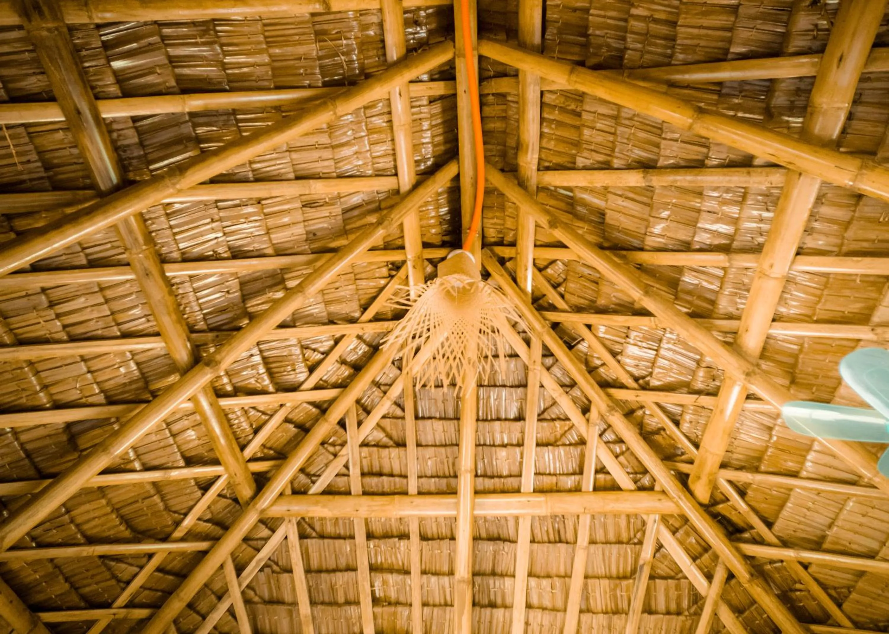 Property building in Ocean Green Eco Lodge