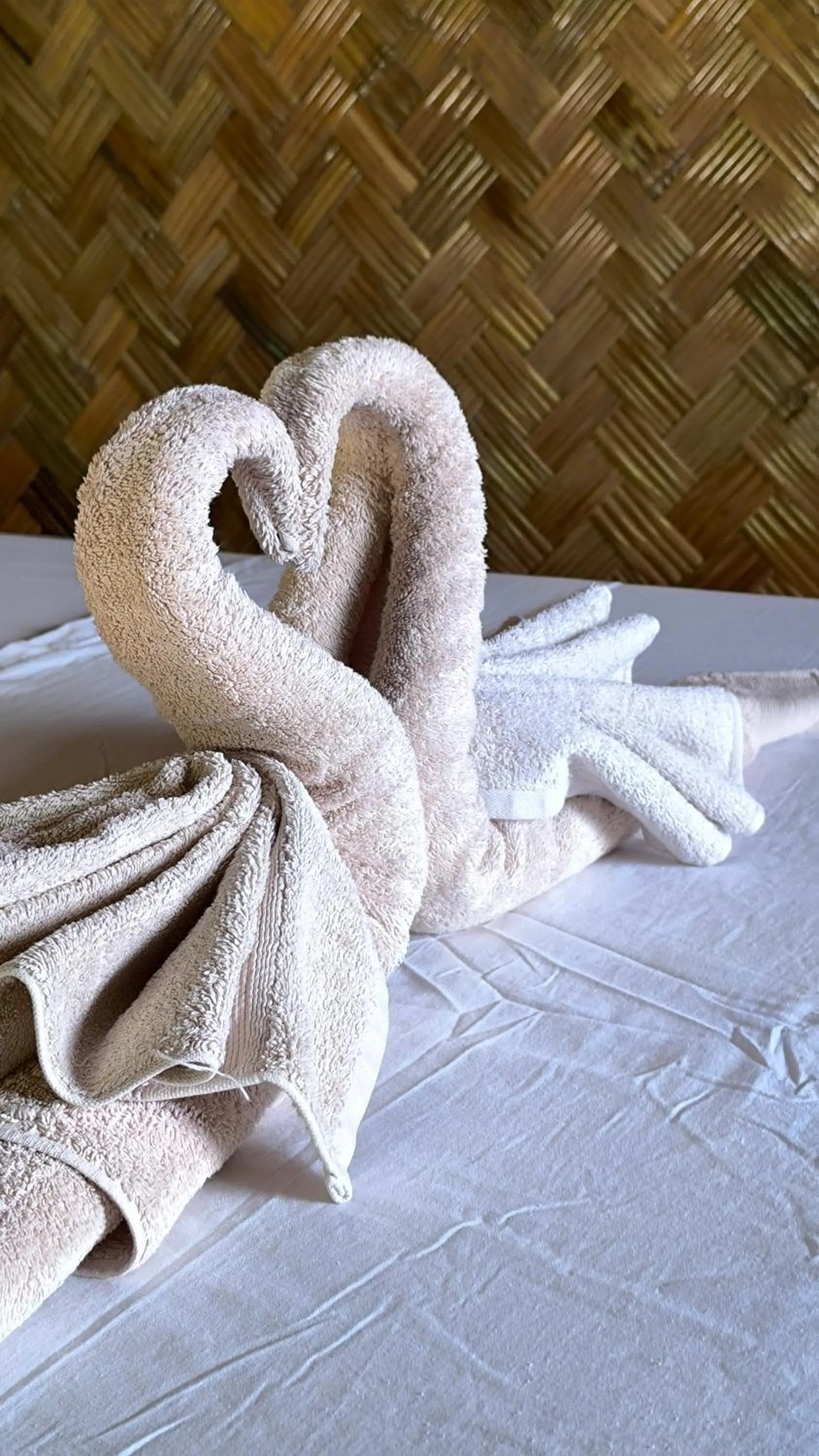 towels, Bed in Ocean Green Eco Lodge