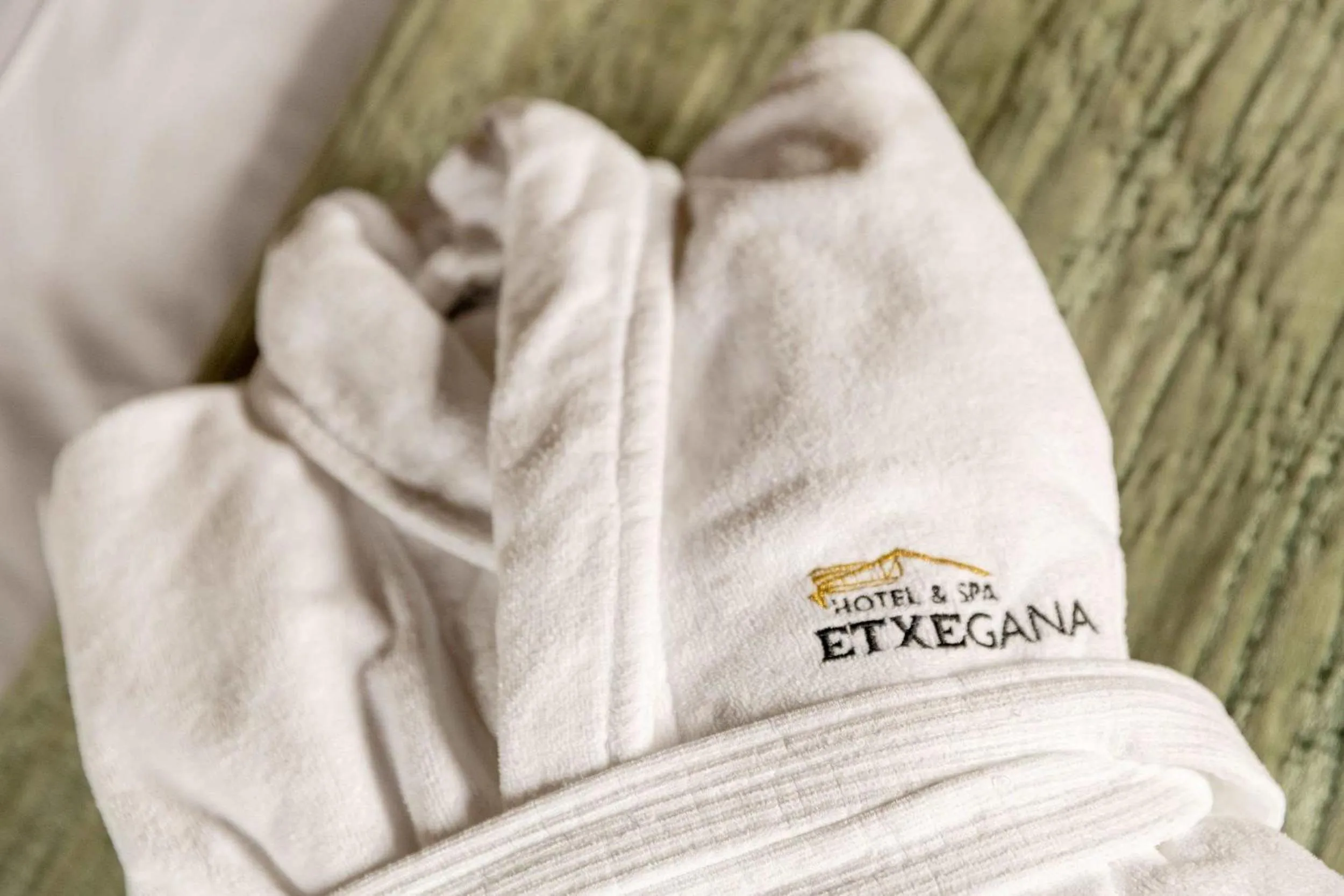 Other in Hotel & Spa Etxegana