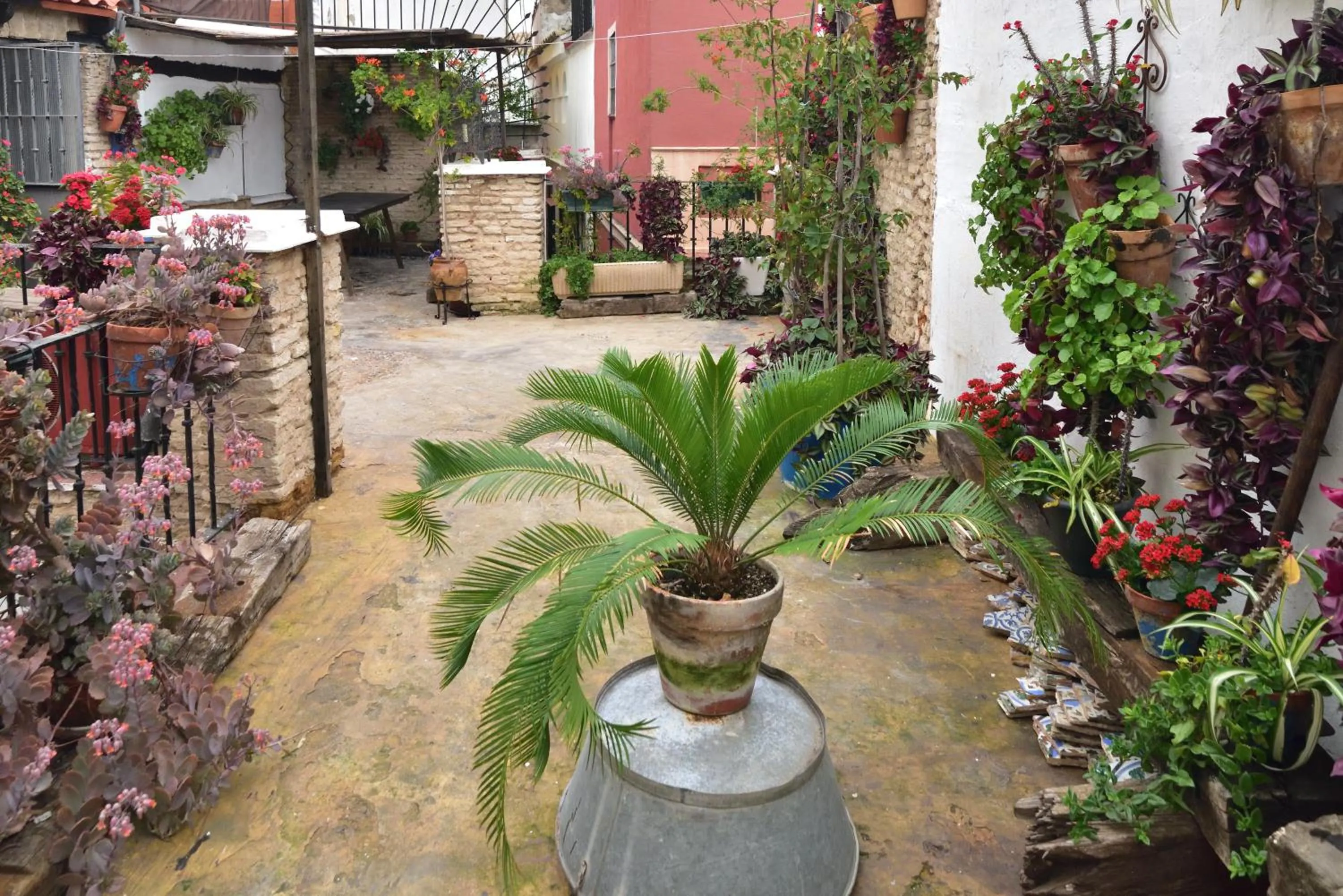Off site in Casa Tenorio Barrio de Santa Cruz