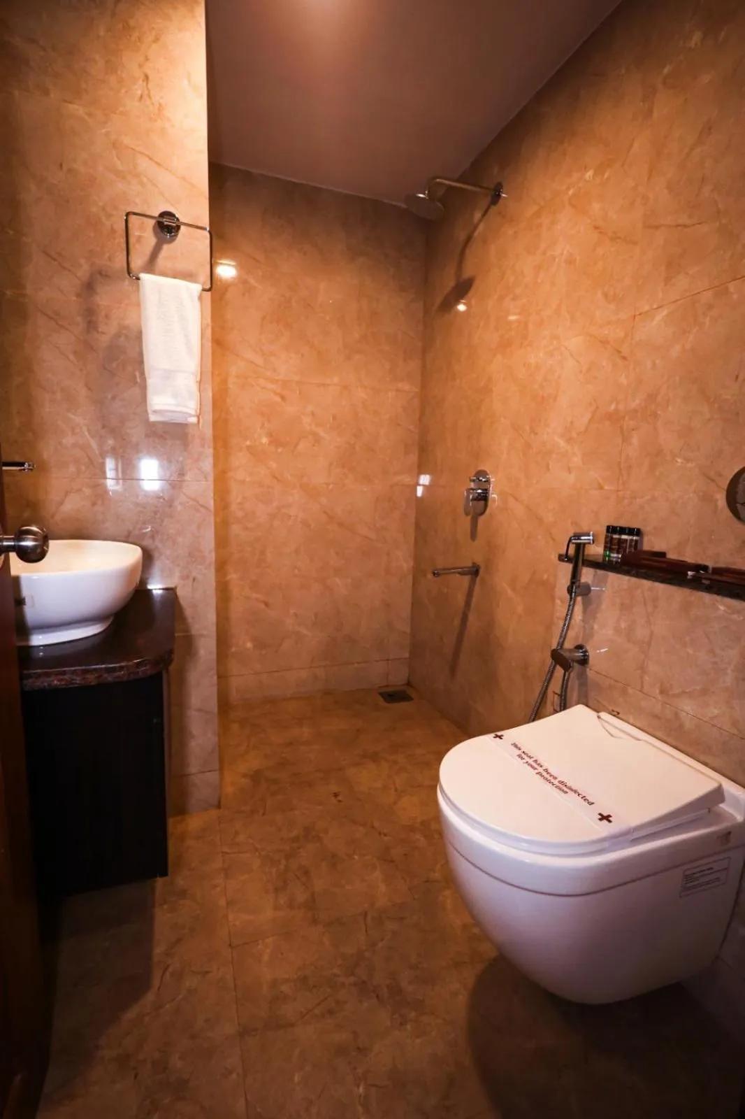 Toilet in Vagator Downtown By VDP