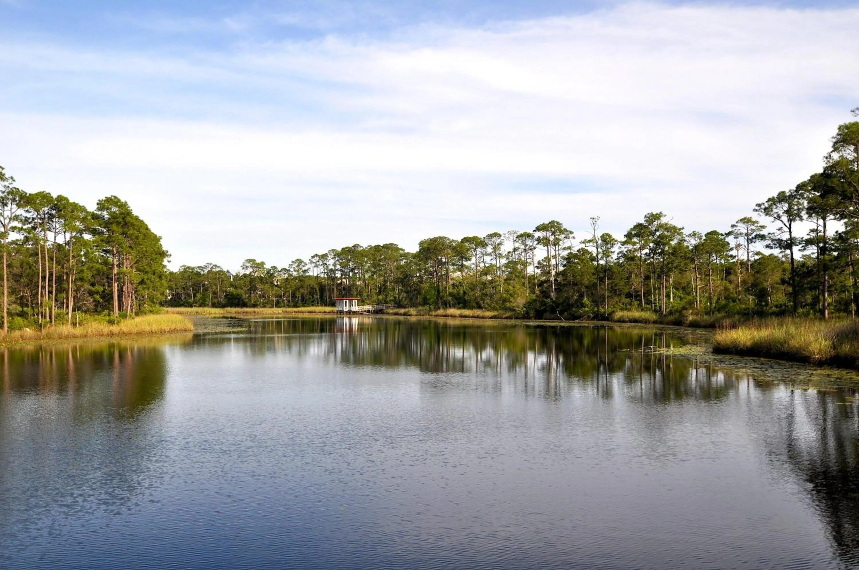 Watercolor - Rudy's Rendezvous