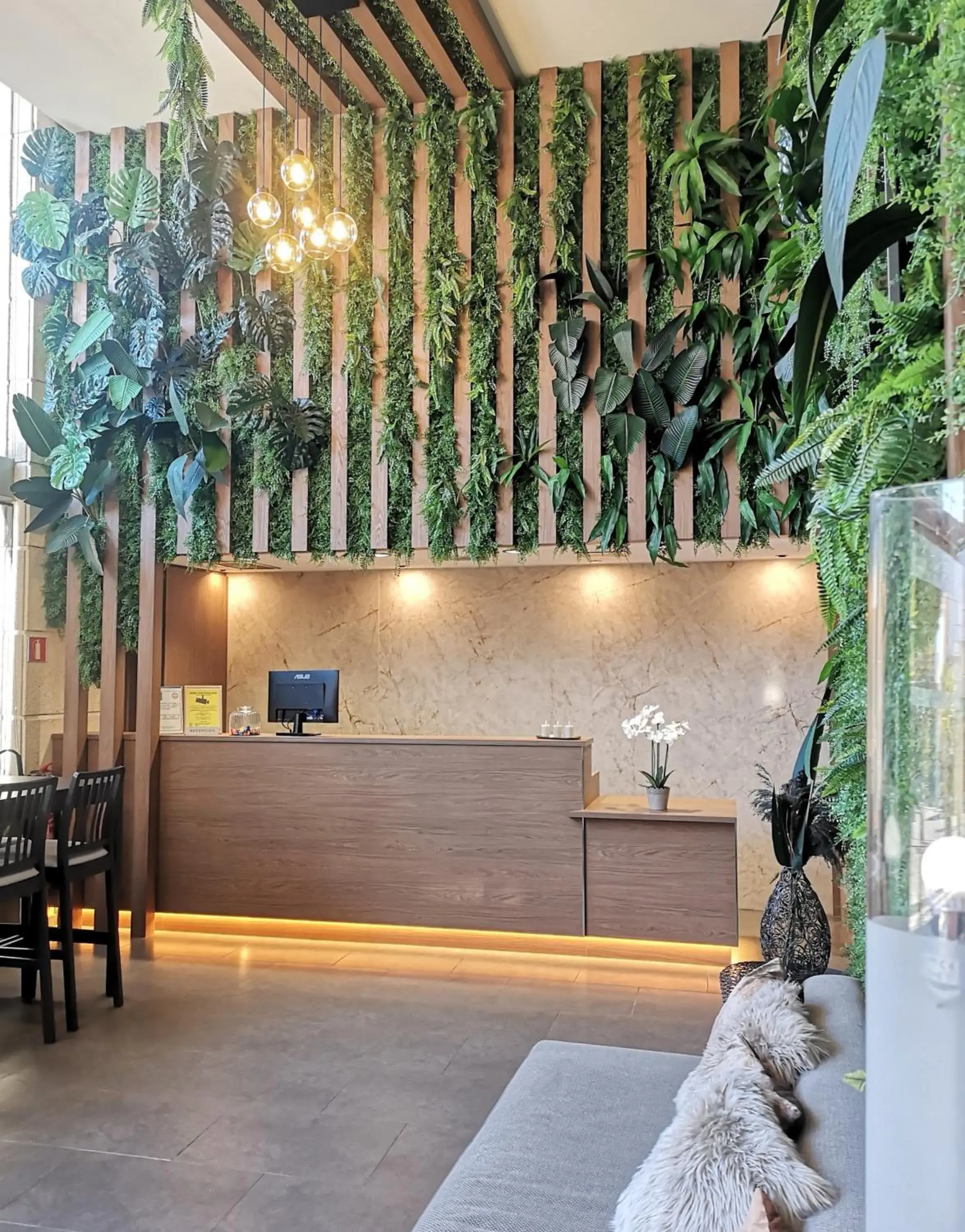 Lobby or reception in Hotel Salymar Lobby or reception in Hotel Salymar