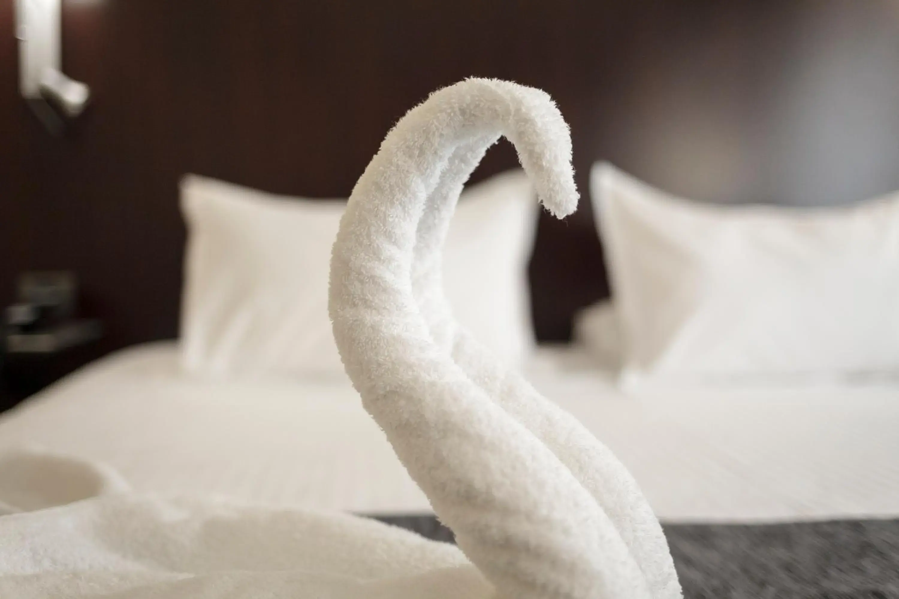 Decorative detail, Bed in Hotel Salymar Decorative detail, Bed in Hotel Salymar