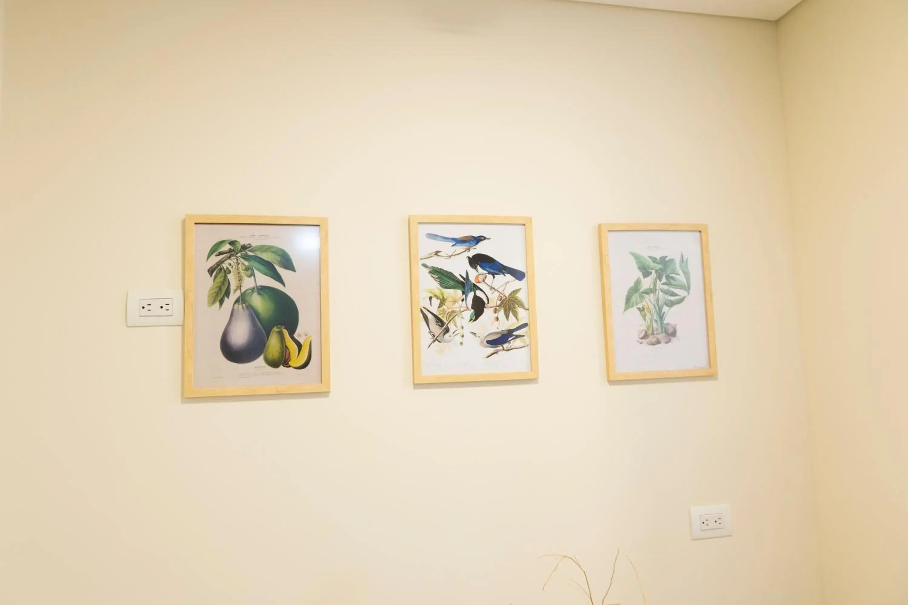 Superior Double Room in Mythical Hotel Boutique Superior Double Room in Mythical Hotel Boutique