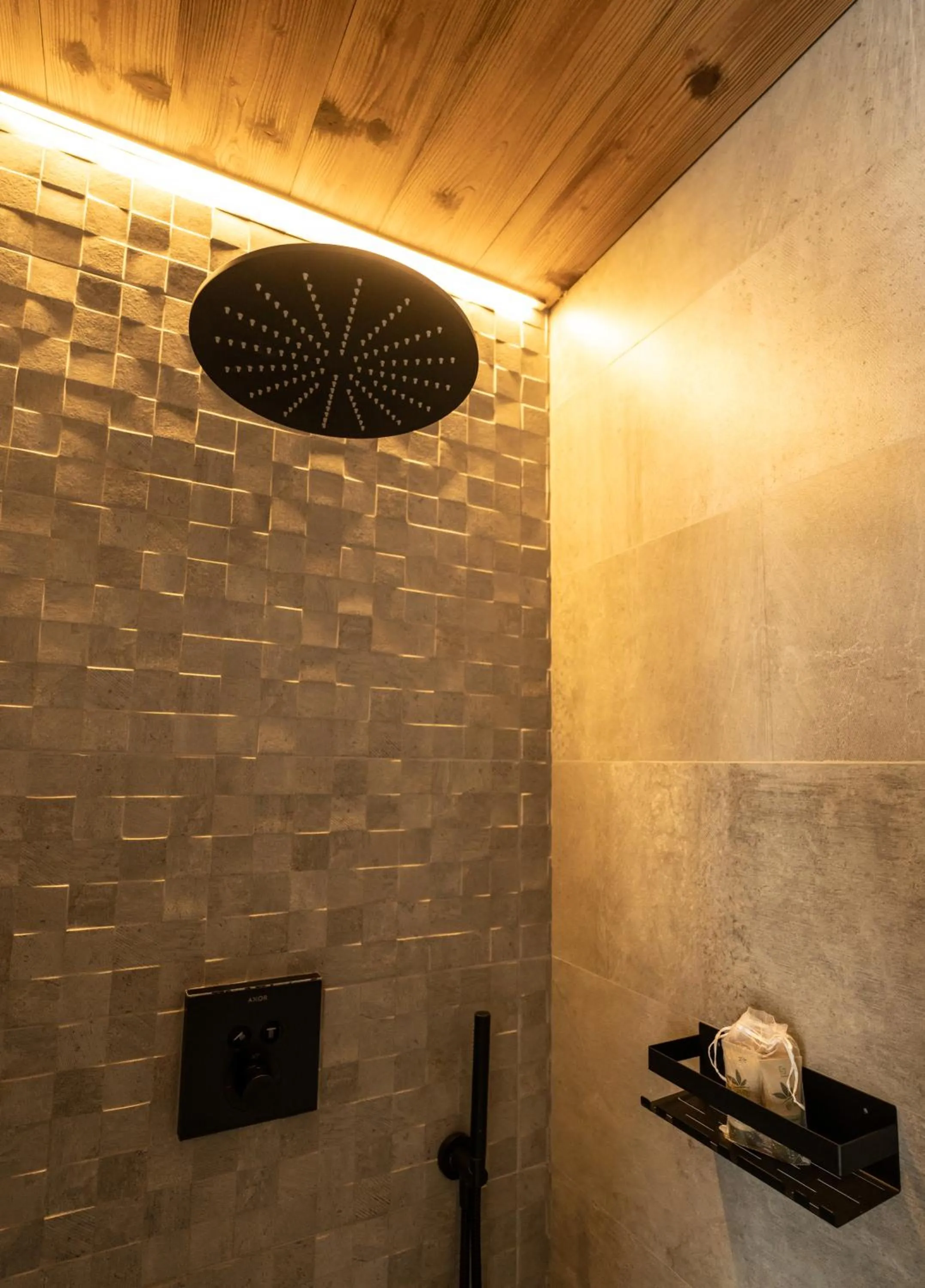 Shower in Blackberry Apartment