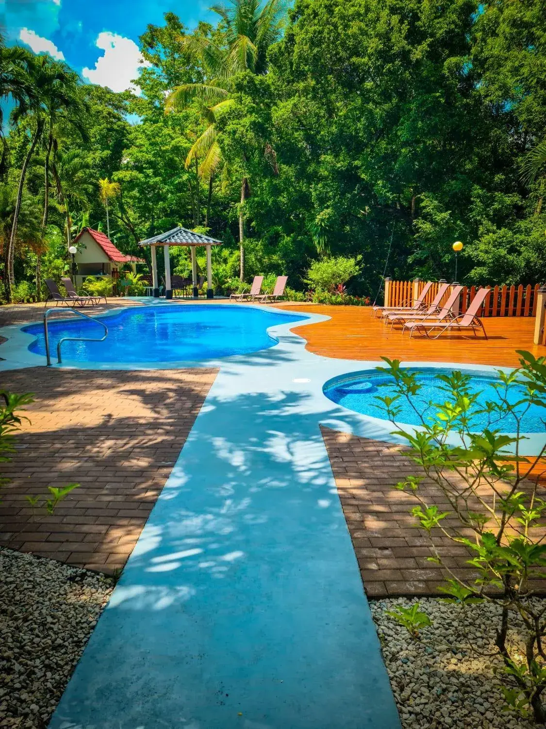 El Sueno Tropical El Sueno Tropical