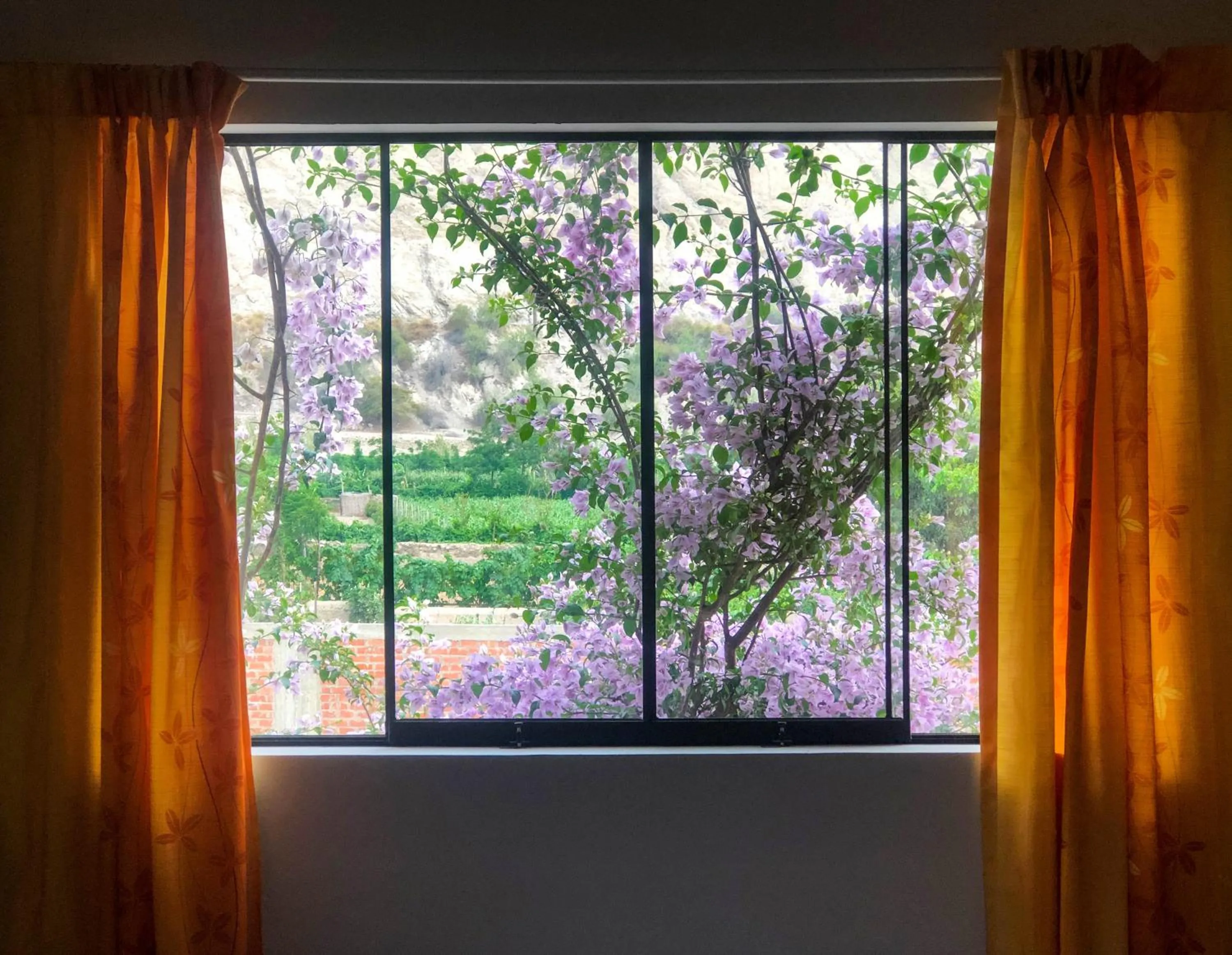 Garden view in Casa Hotel Mamaluna