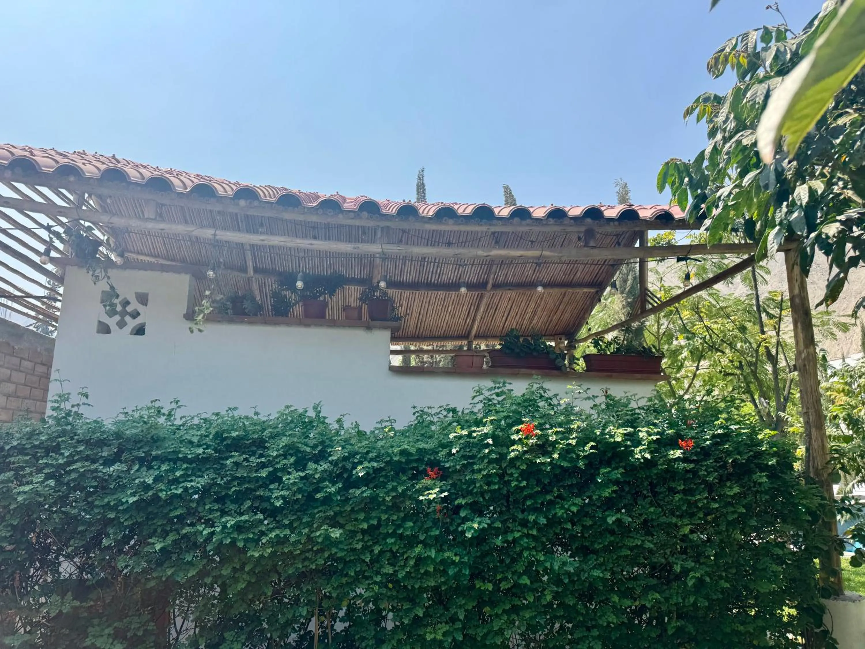 Day in Casa Hotel Mamaluna