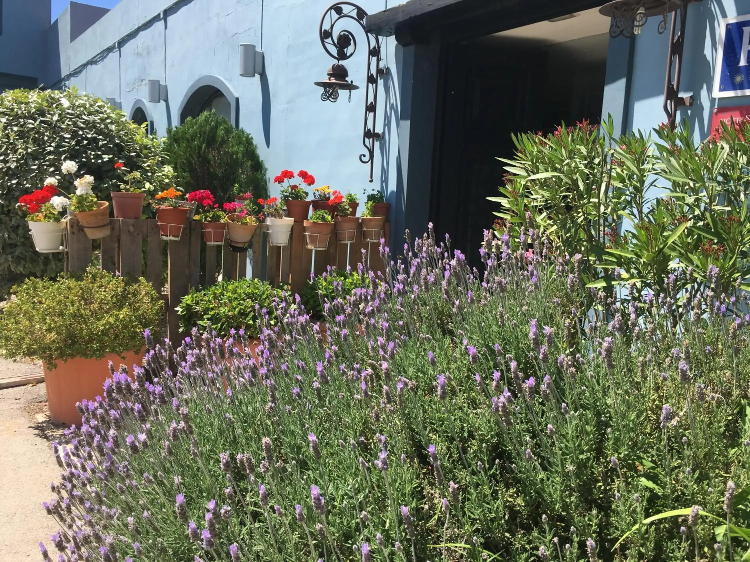 Hotel Patilla Ciudad de Requena Hotel Patilla Ciudad de Requena