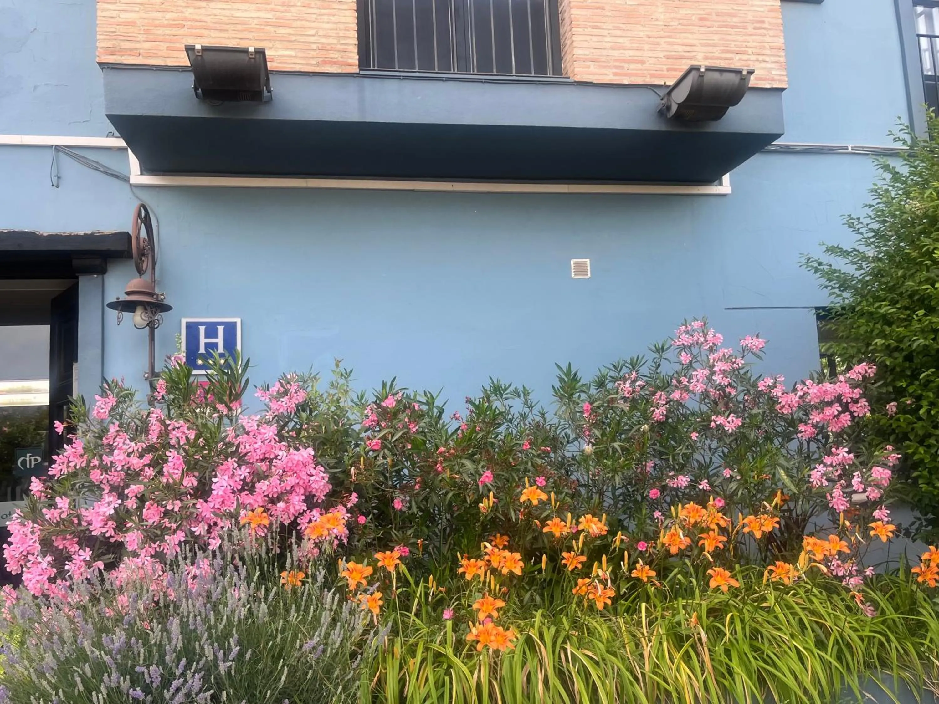 Hotel Patilla Ciudad de Requena