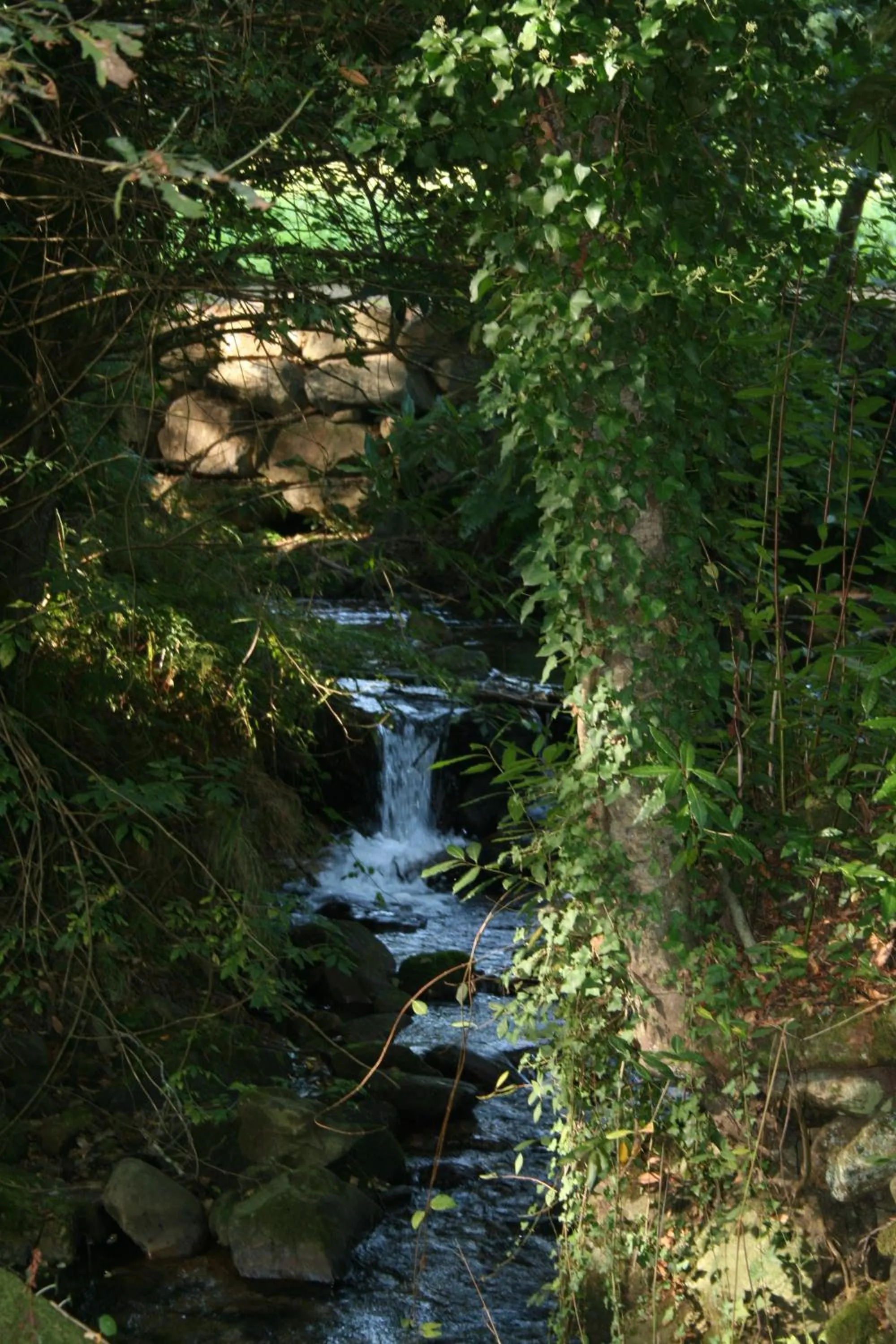 San Marcos Salnés