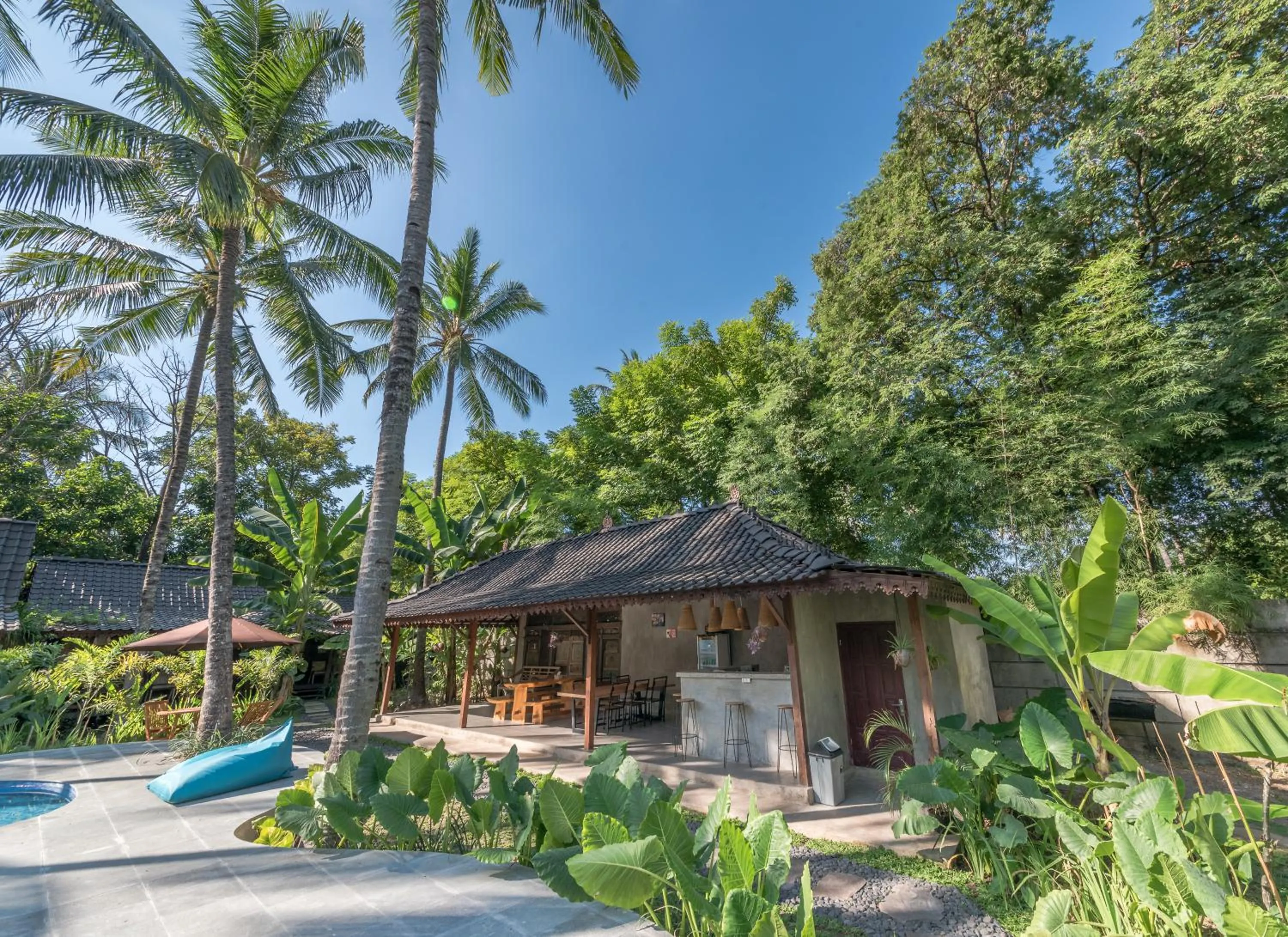 Garden in Tahlia's Villa