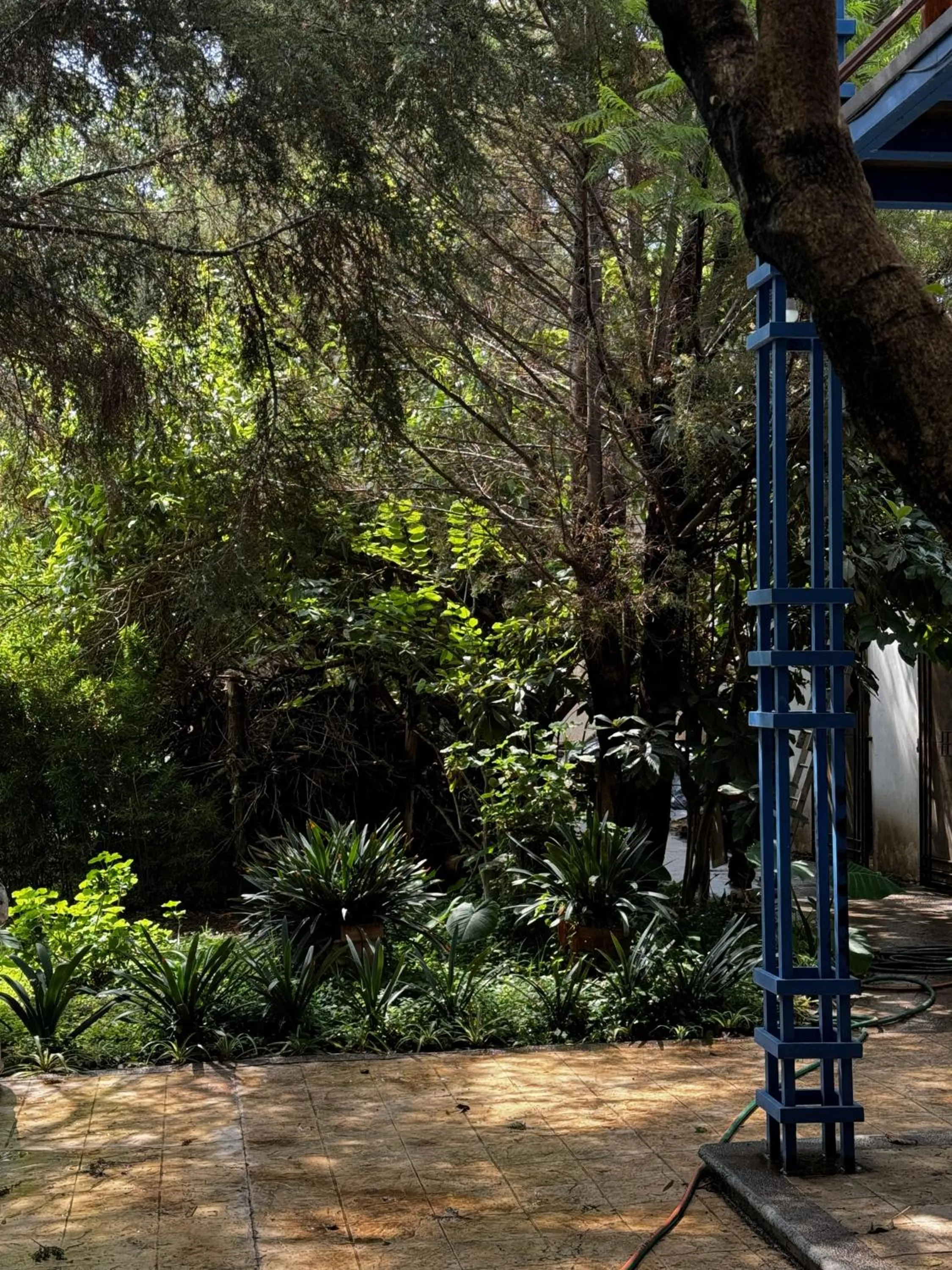 Magnolias Jardin & Boutique Suites