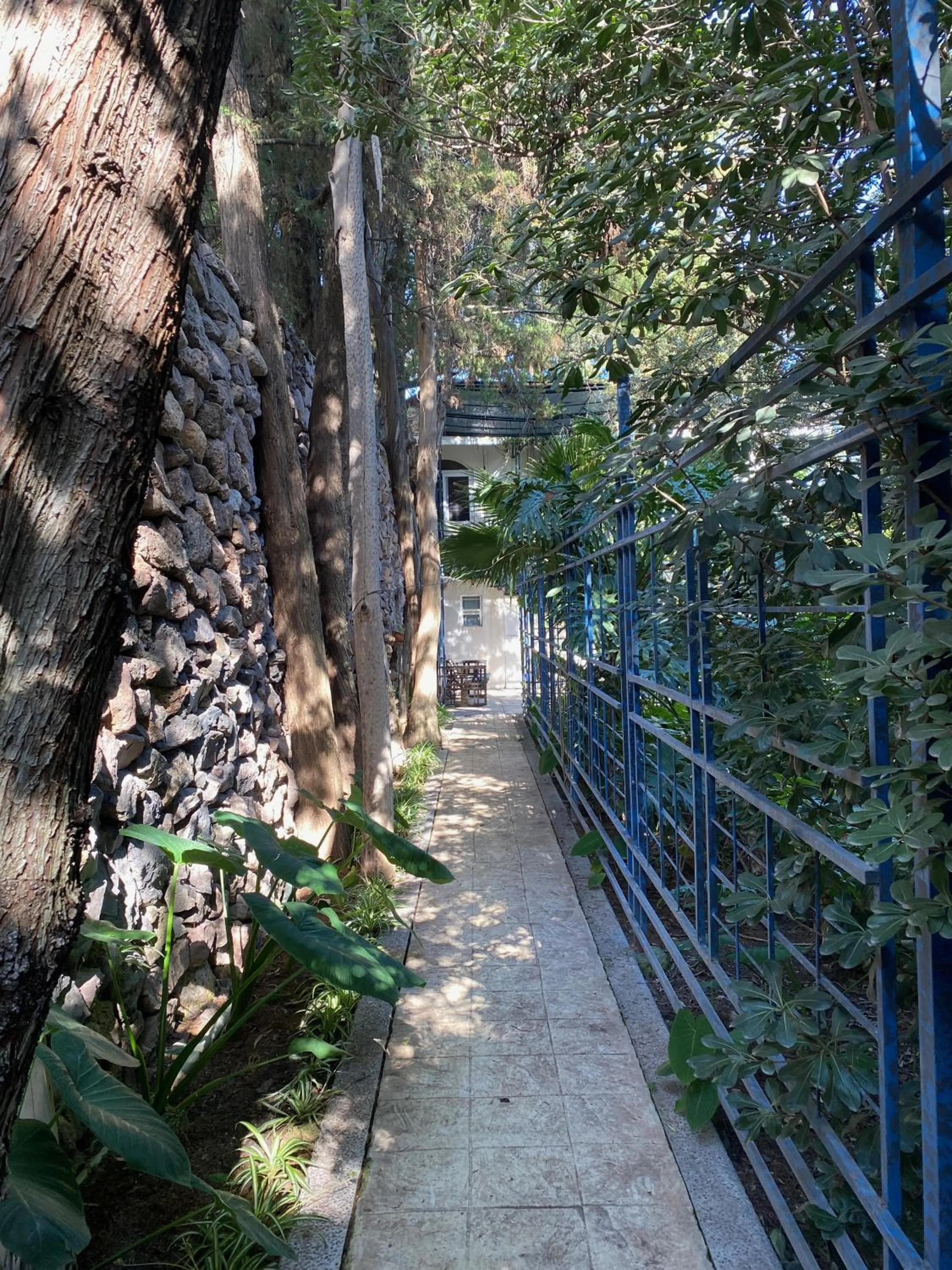 Magnolias Jardin & Boutique Suites