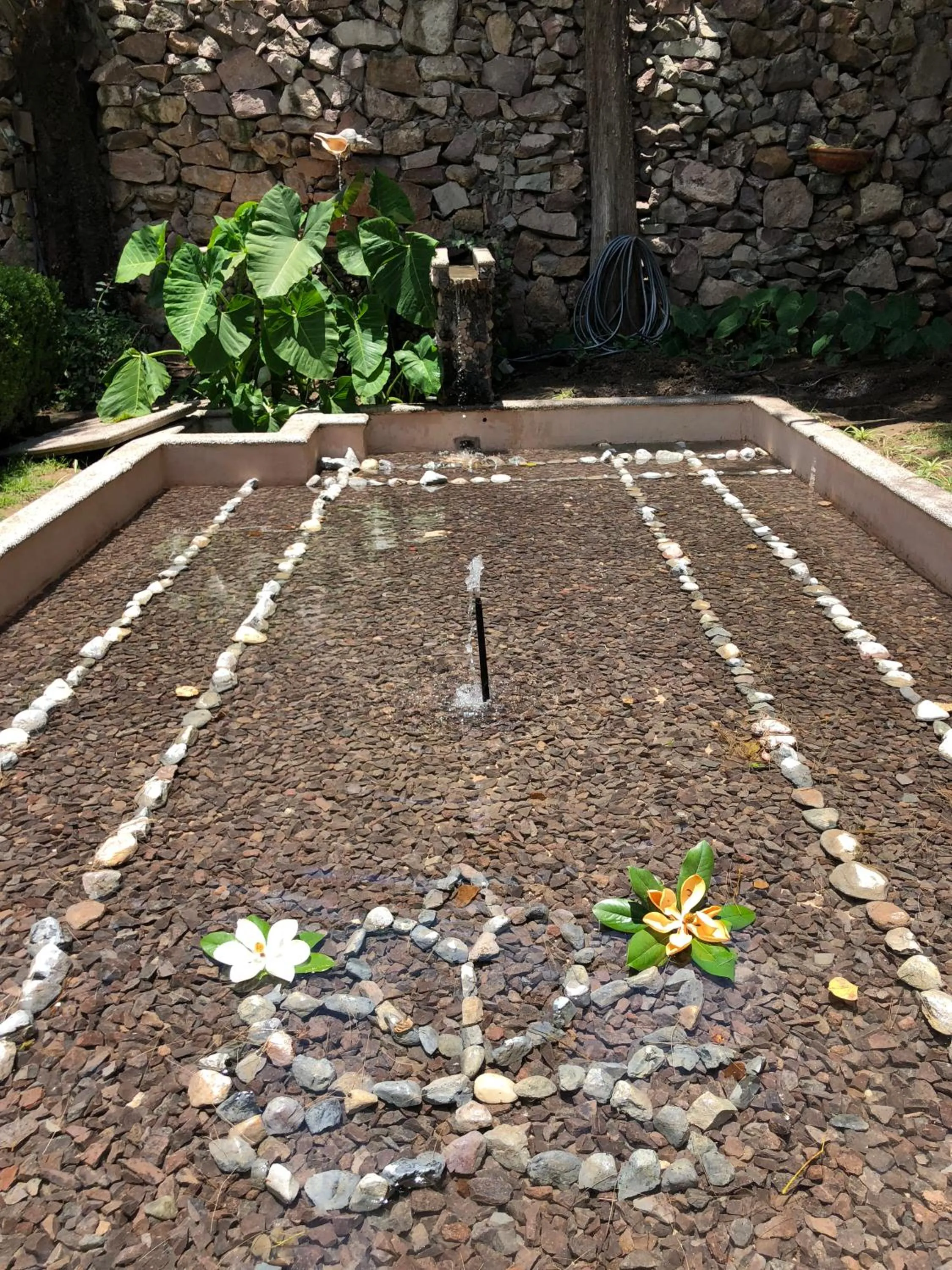 Magnolias Jardin & Boutique Suites