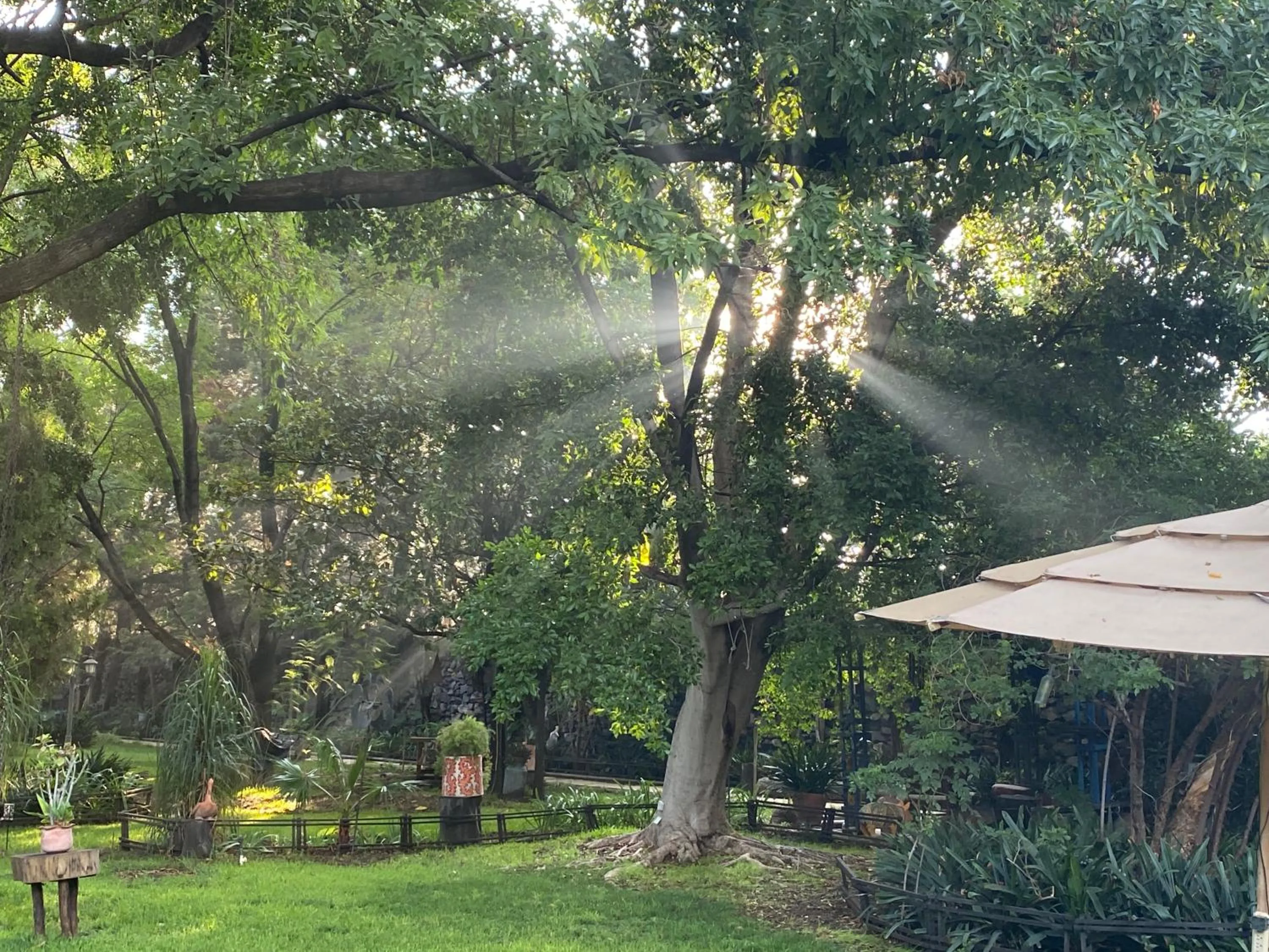 Magnolias Jardin & Boutique Suites